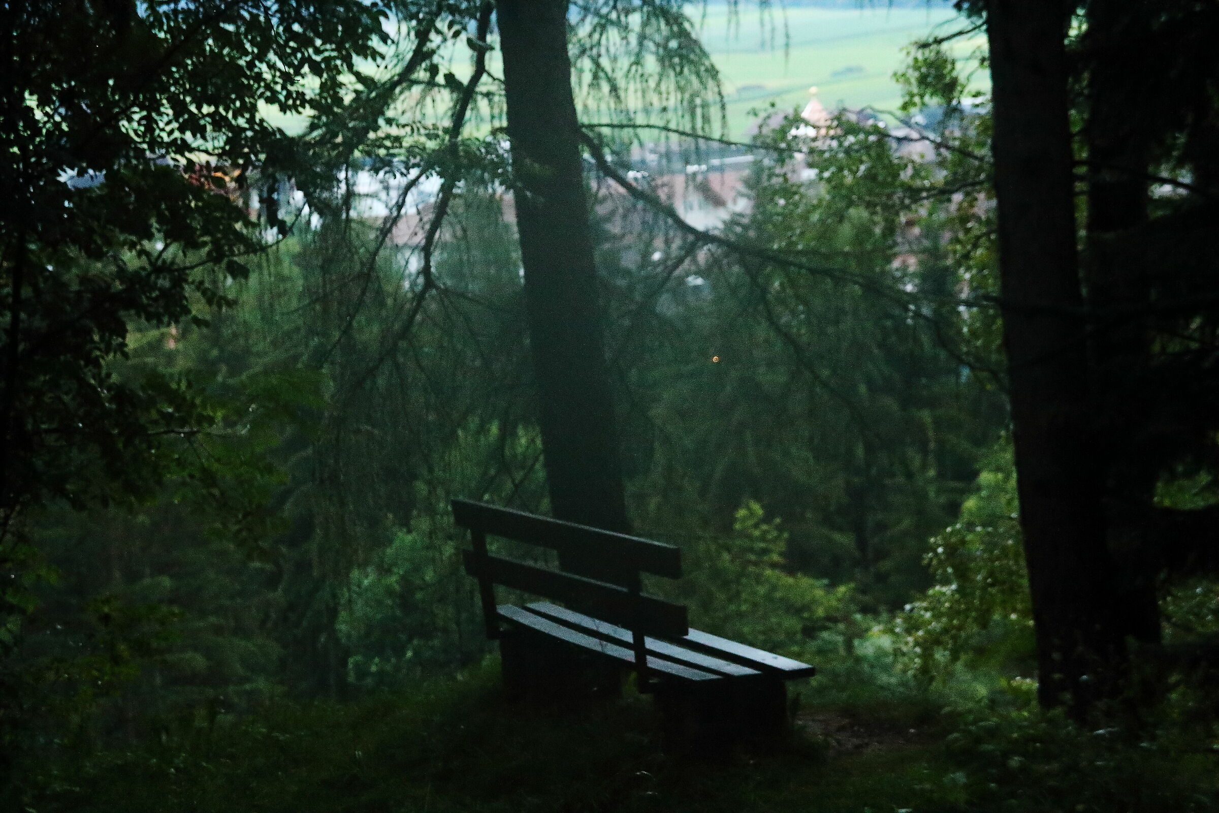 trentino
