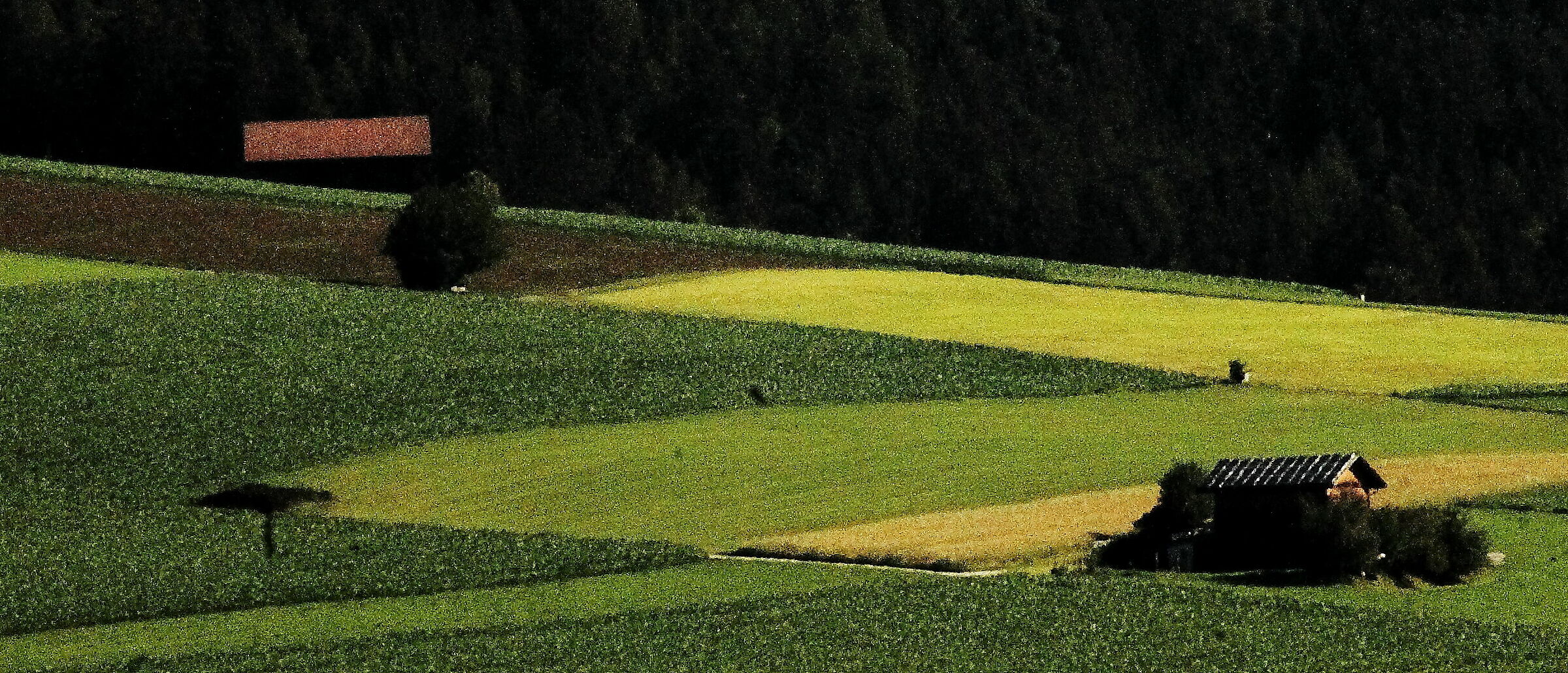 trentino