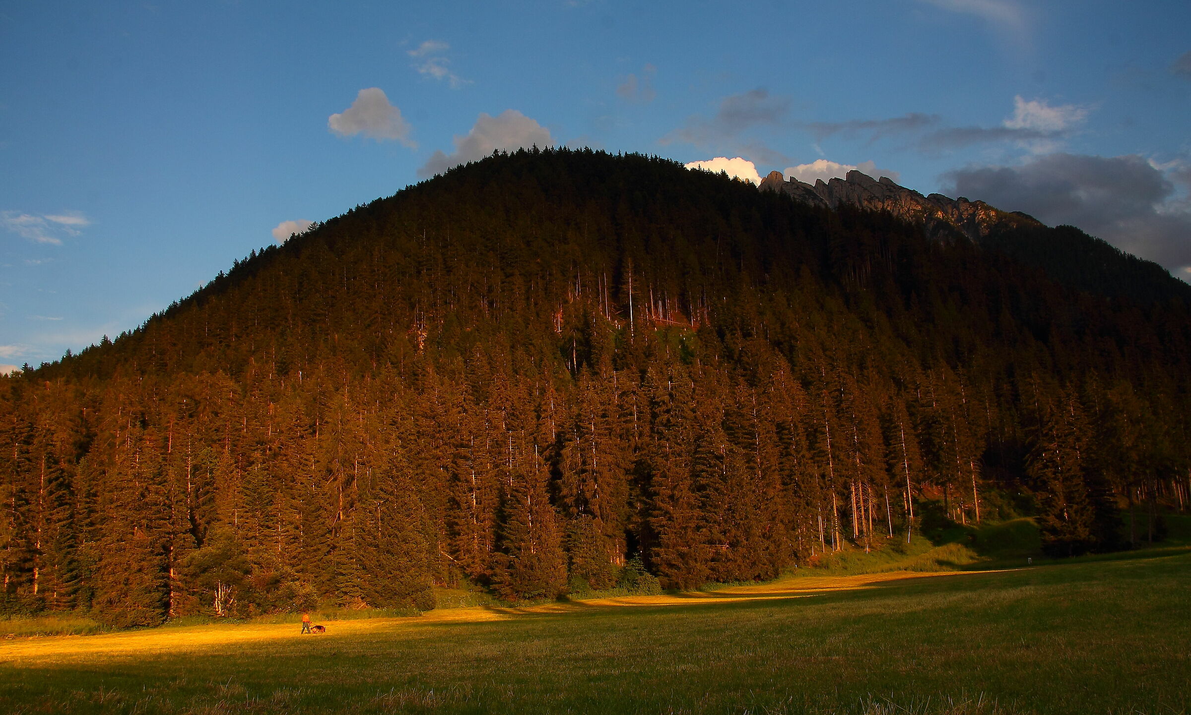 trentino