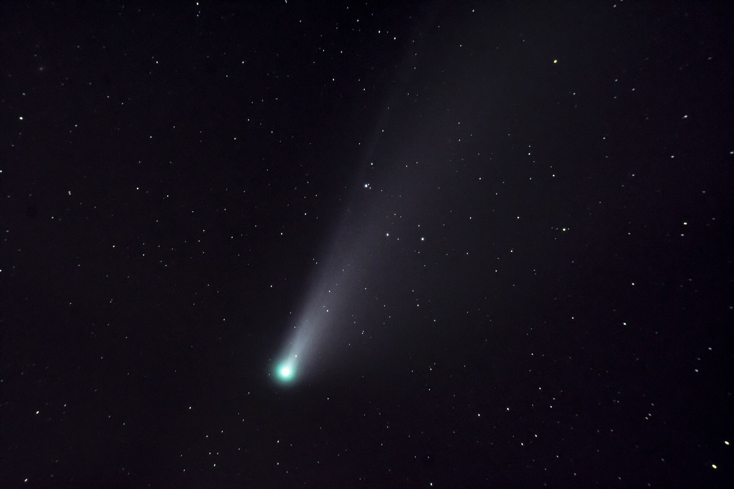 Cometa Neowise