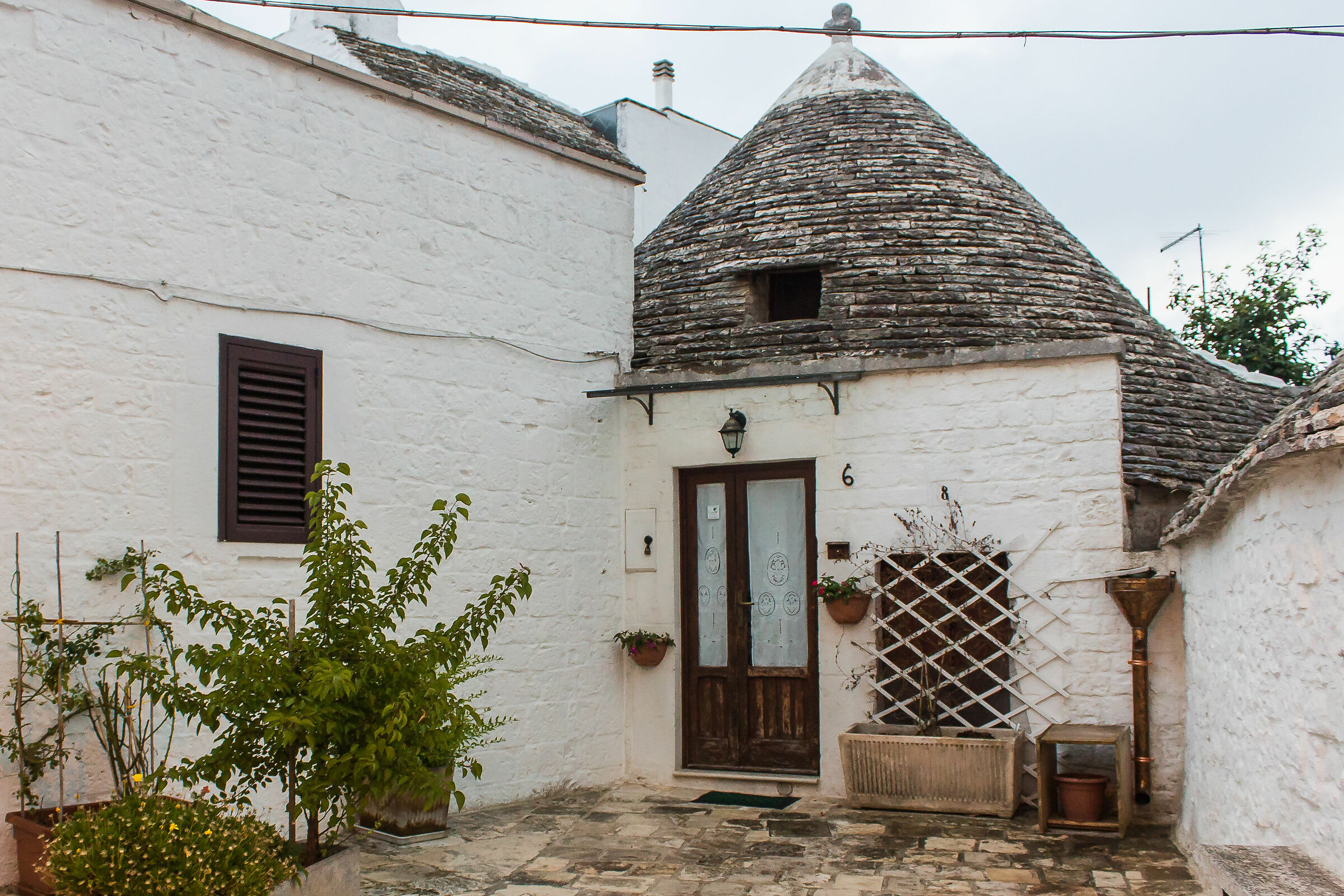 Piccolo trullo nel paese dei trulli