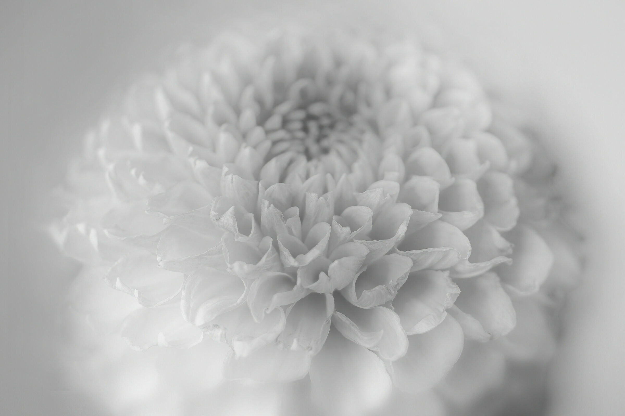 Sfumature profonde e intense ...