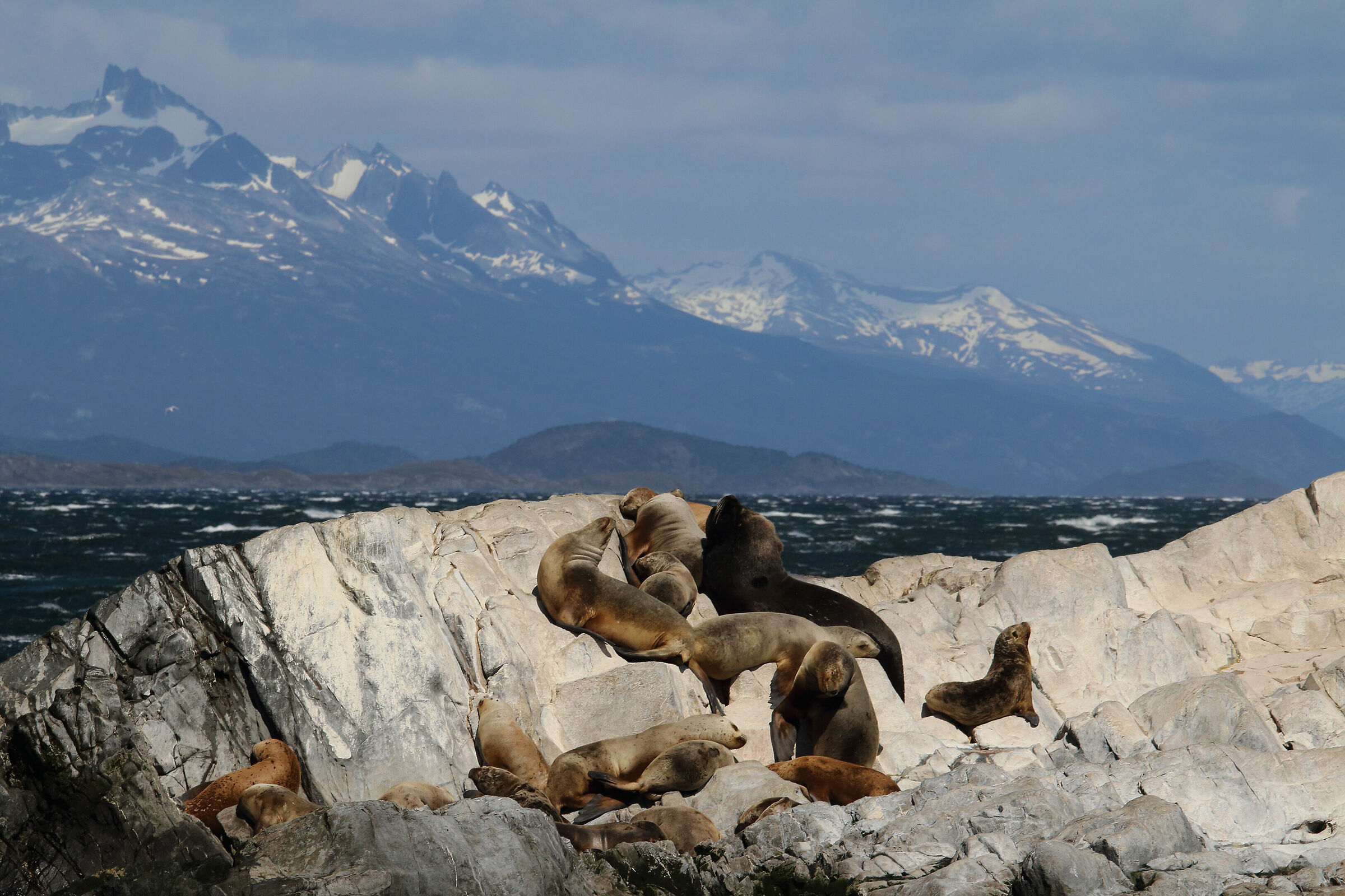 canale di Beagle (Ushuaia)