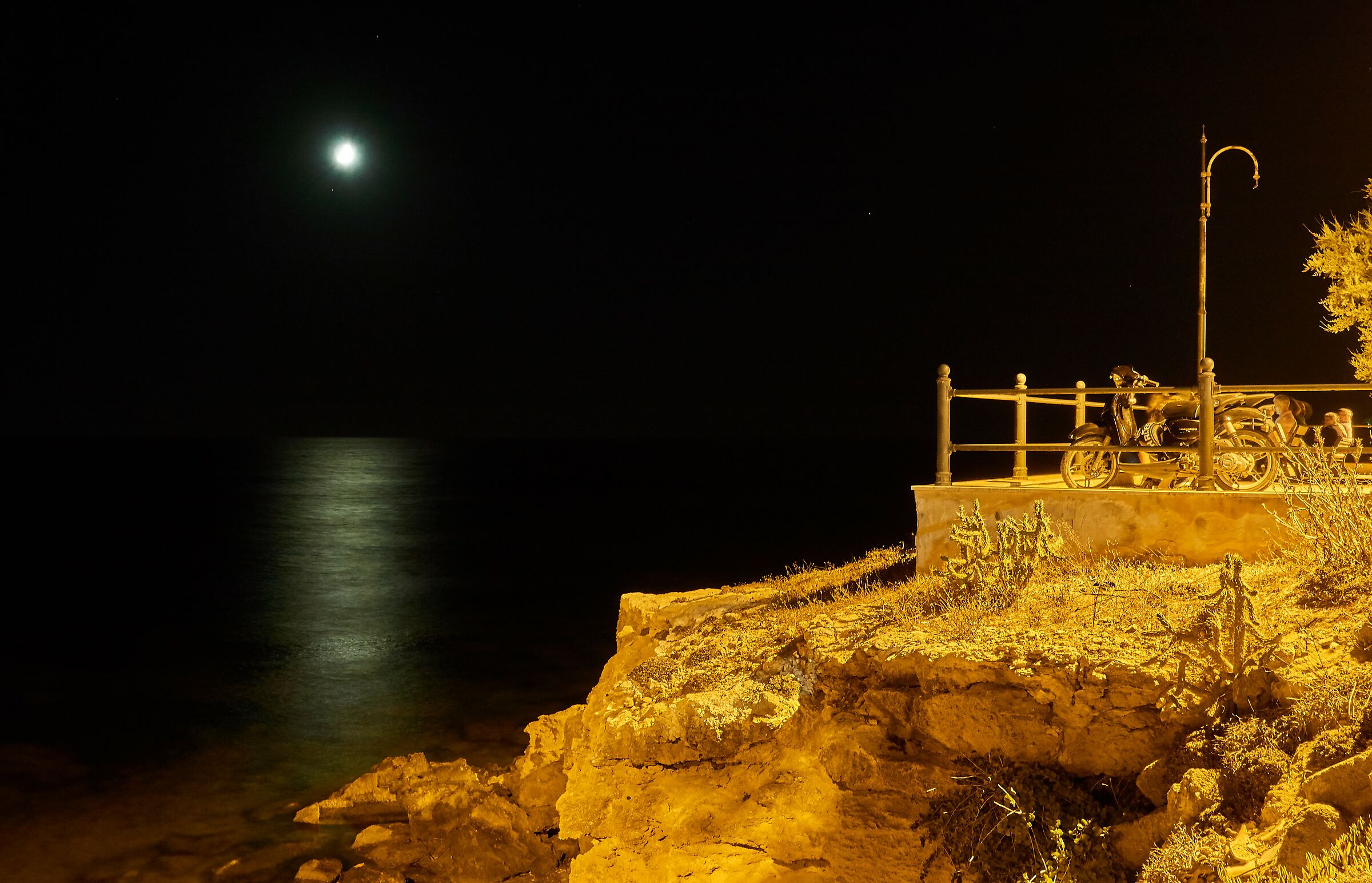 Ammirando il chiaro di luna
