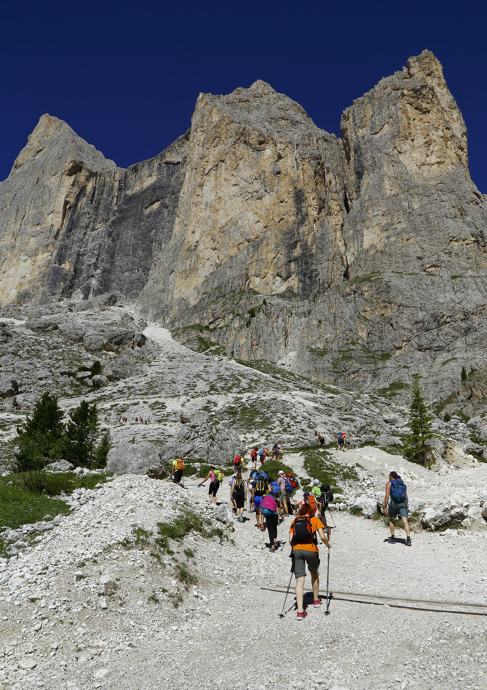 Andiam....andiam...tutti a camminar.....