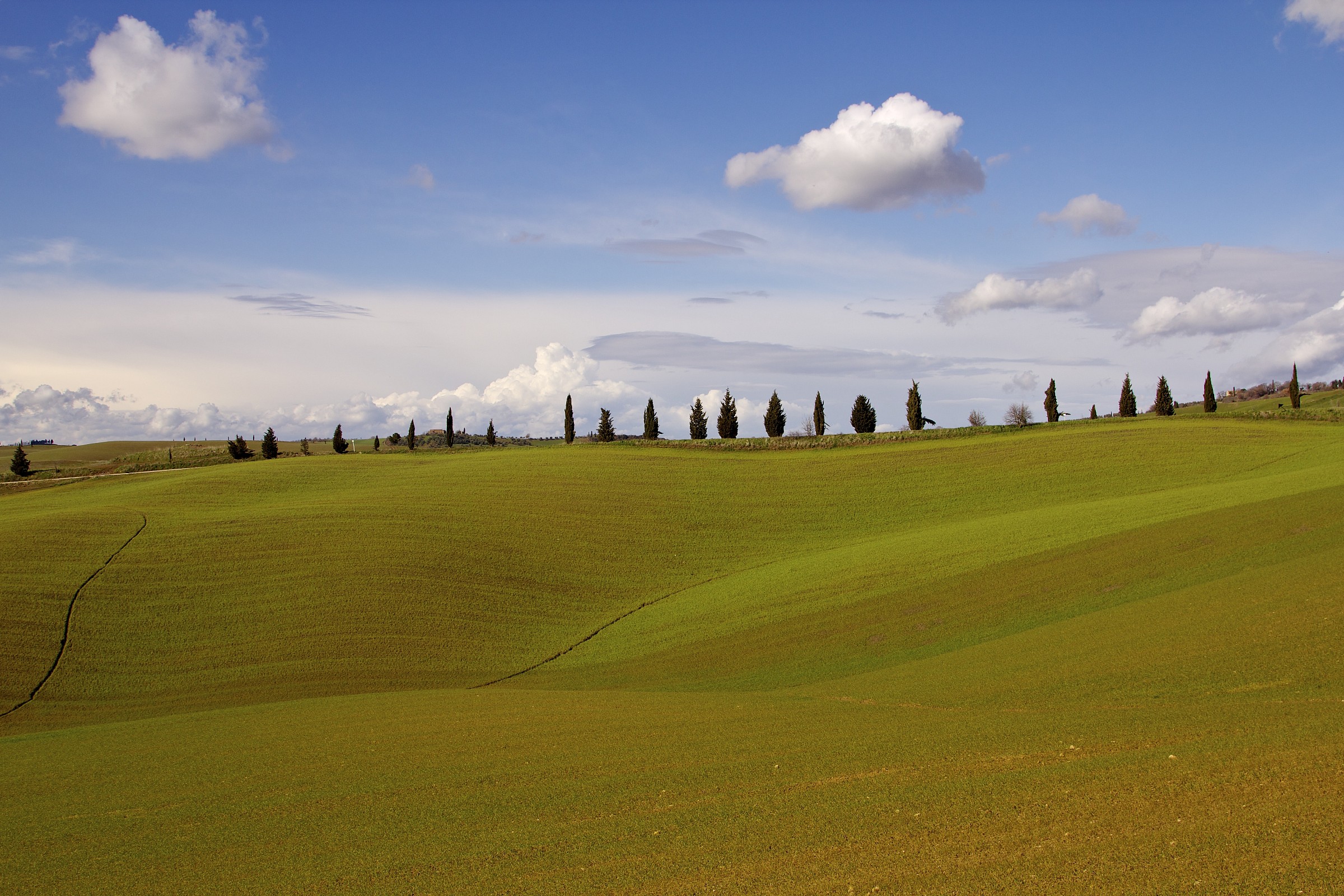 Cartolina dalla Vald'orcia