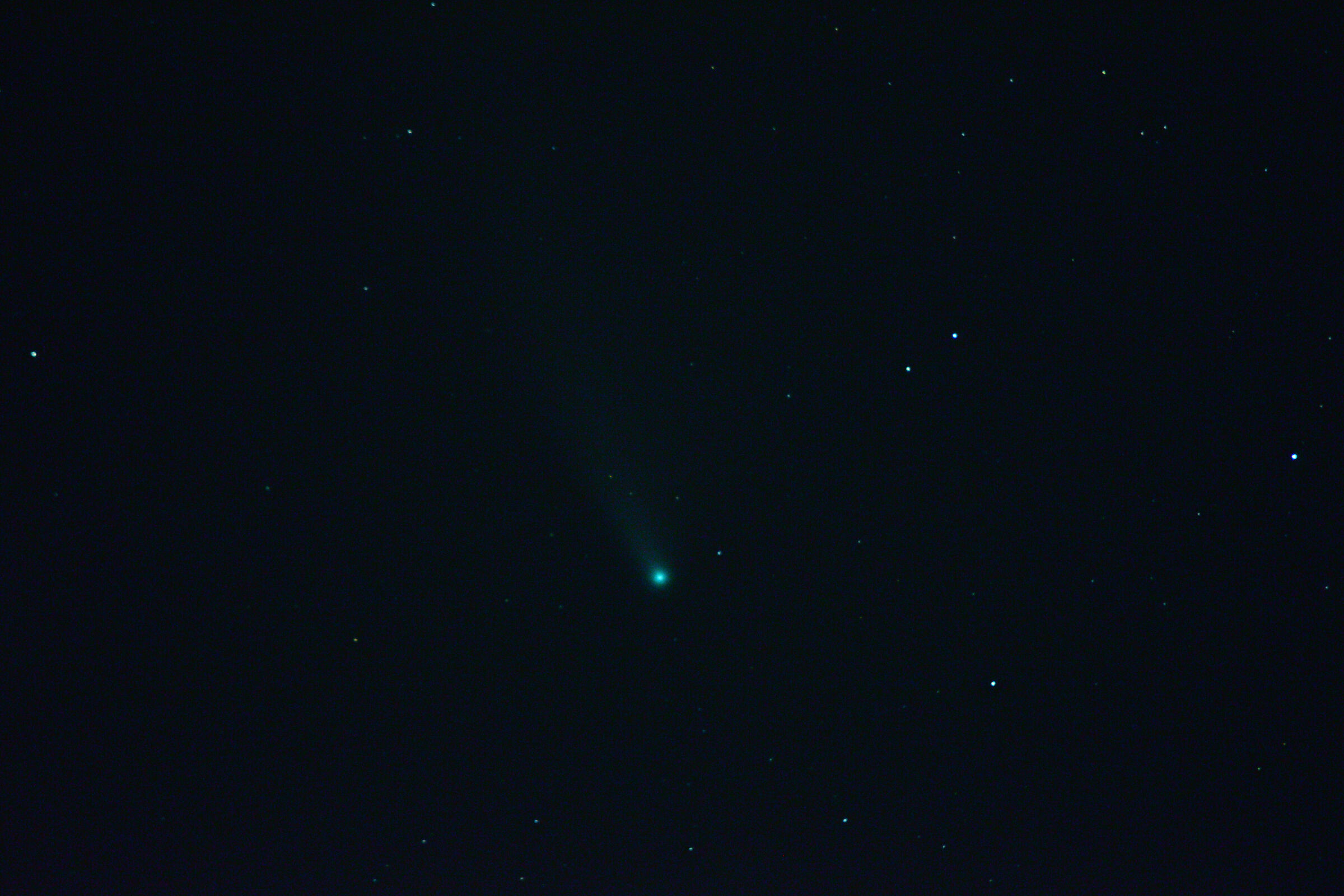 cometa neowise