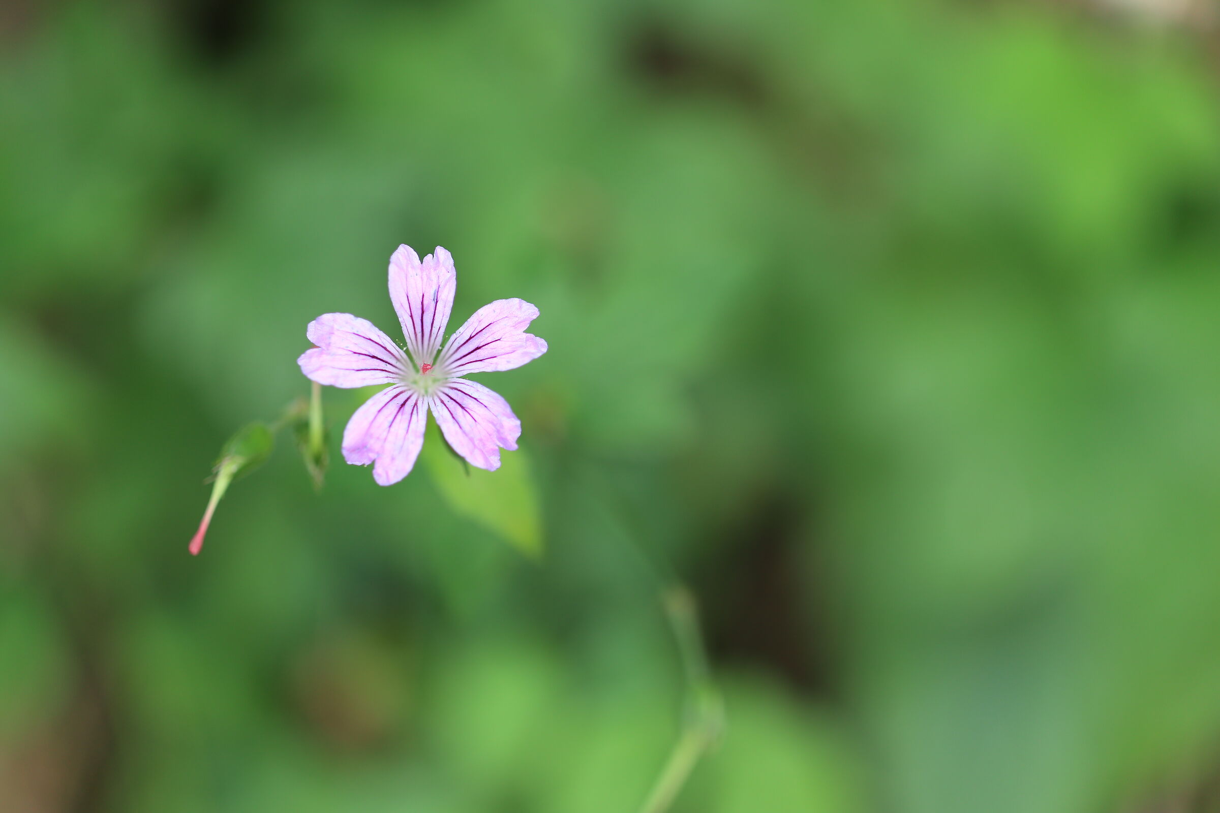 Untitled Photo