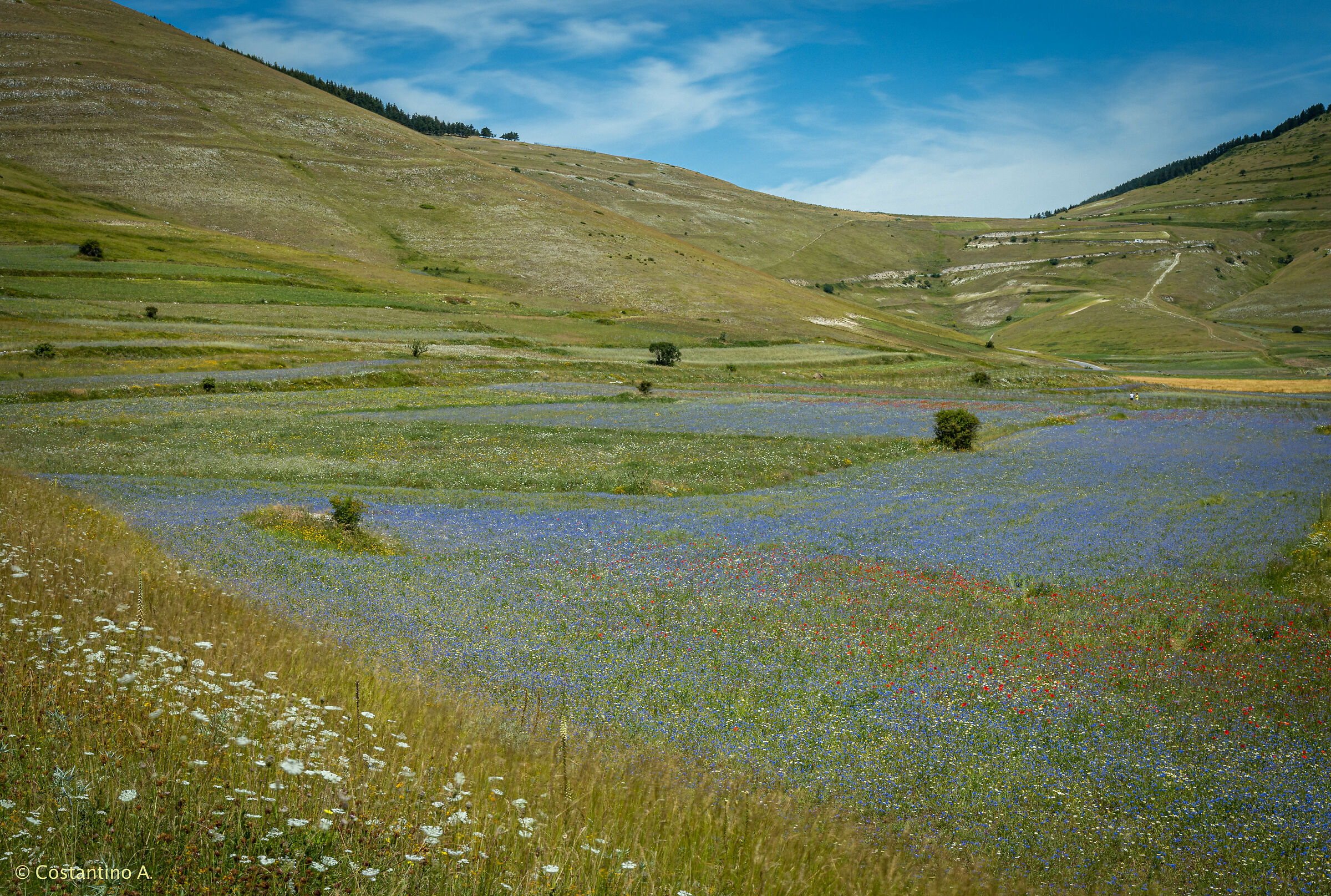 what a fantastic artist mother nature is...