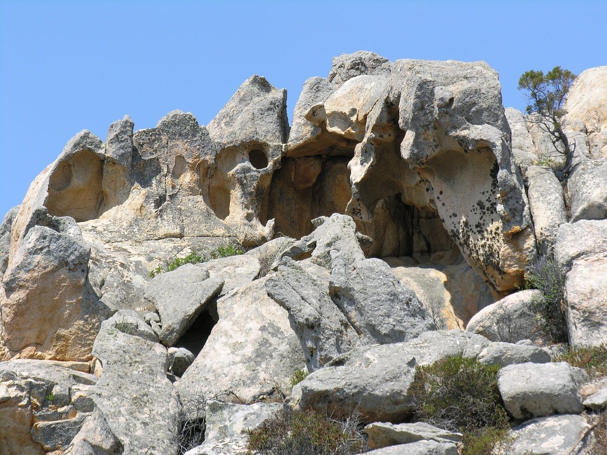 sardegna Nikon 8800vr