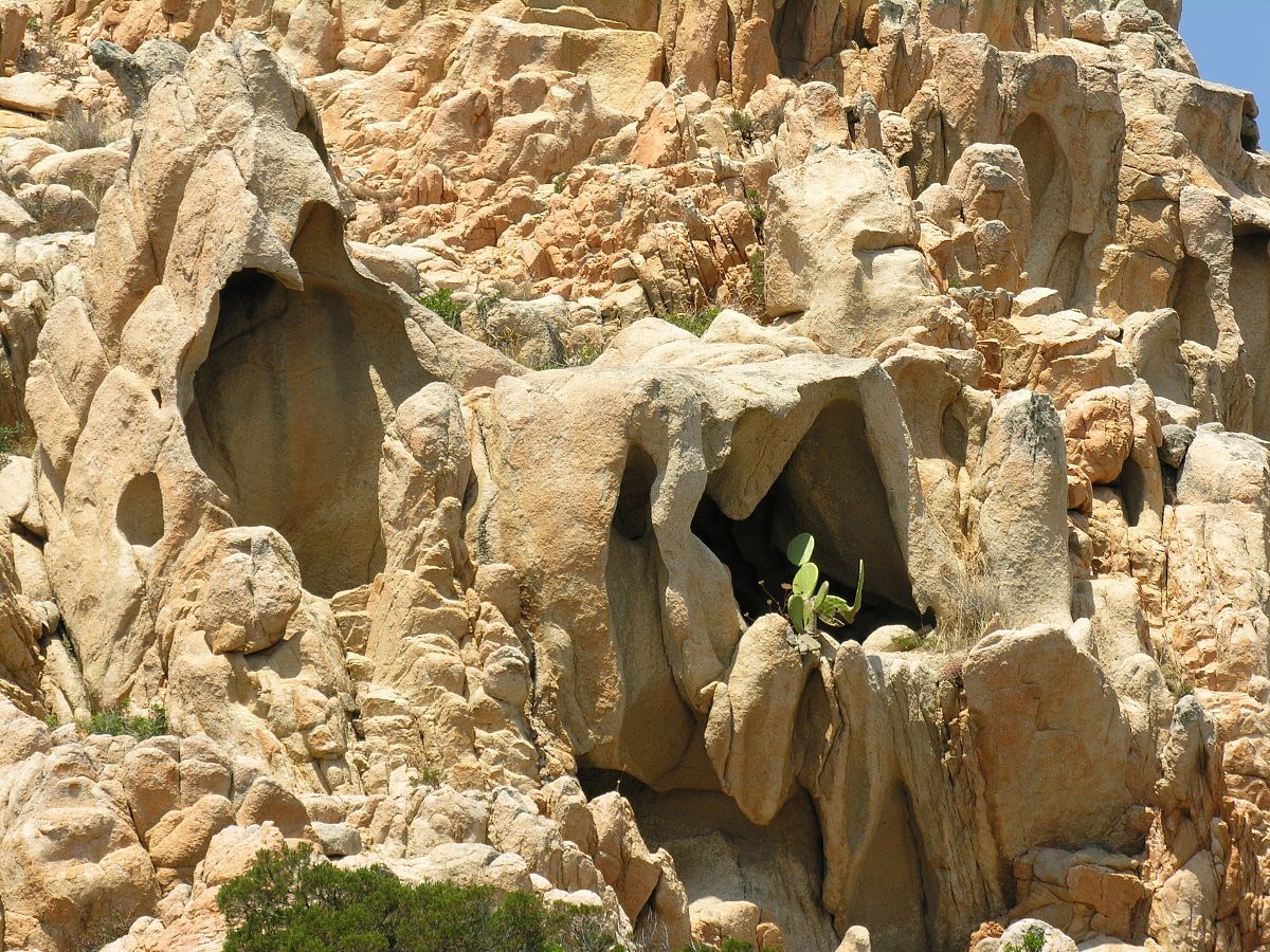 Sardegna Nikon 8800vr