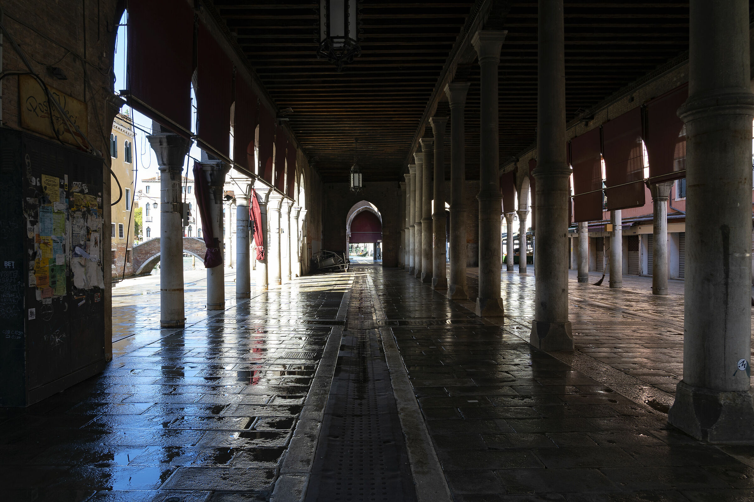 Venezia mercato del pesce