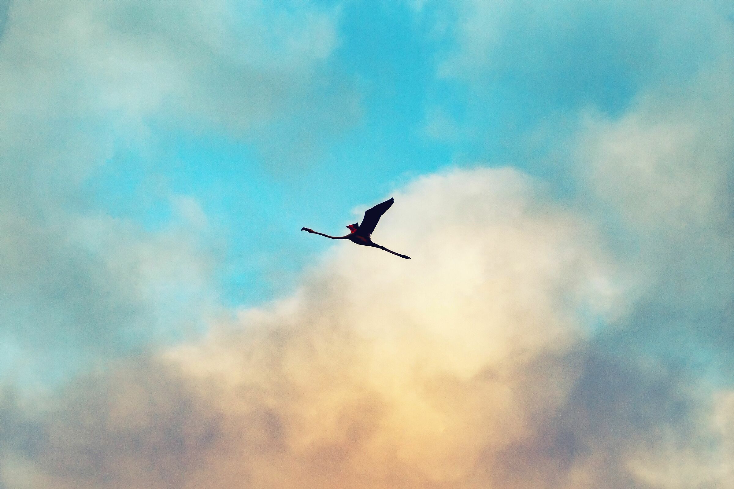 Air