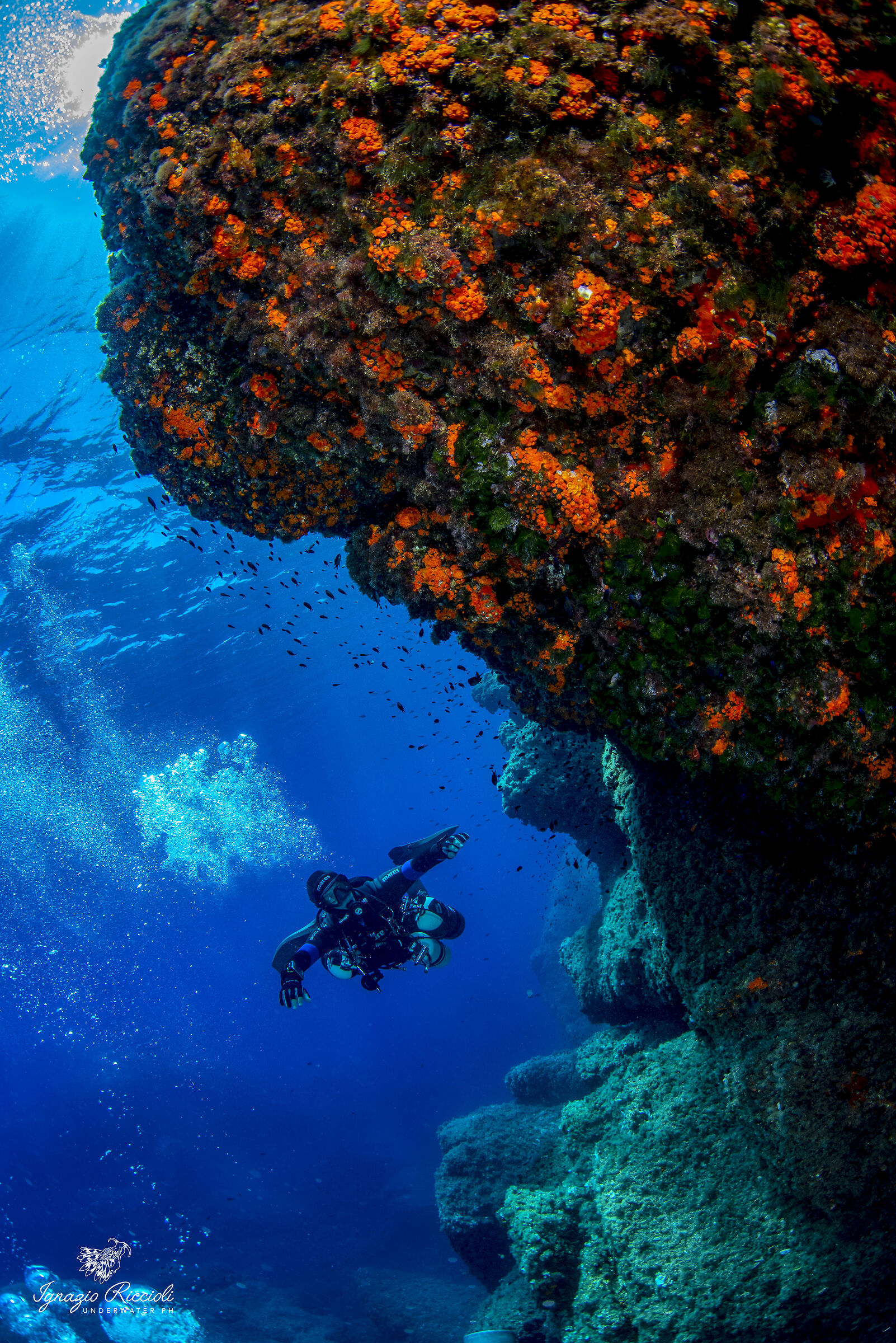 Scoglio della formica