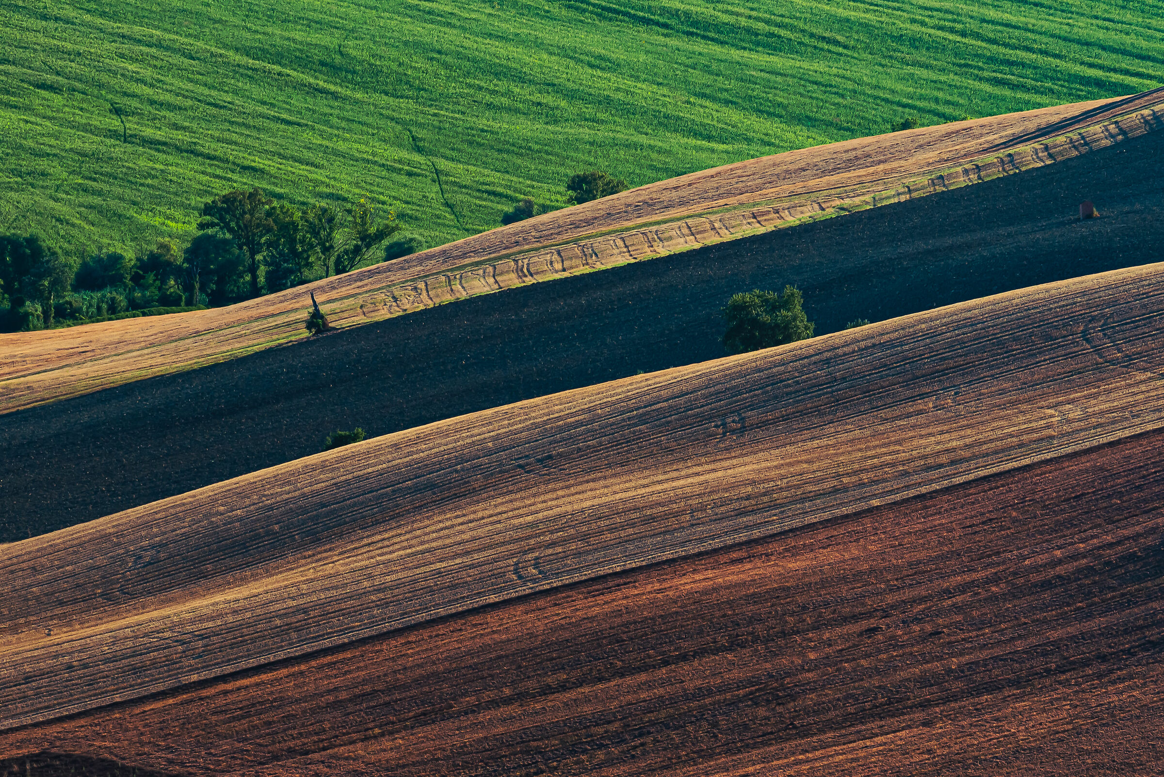 The fabrics of the earth