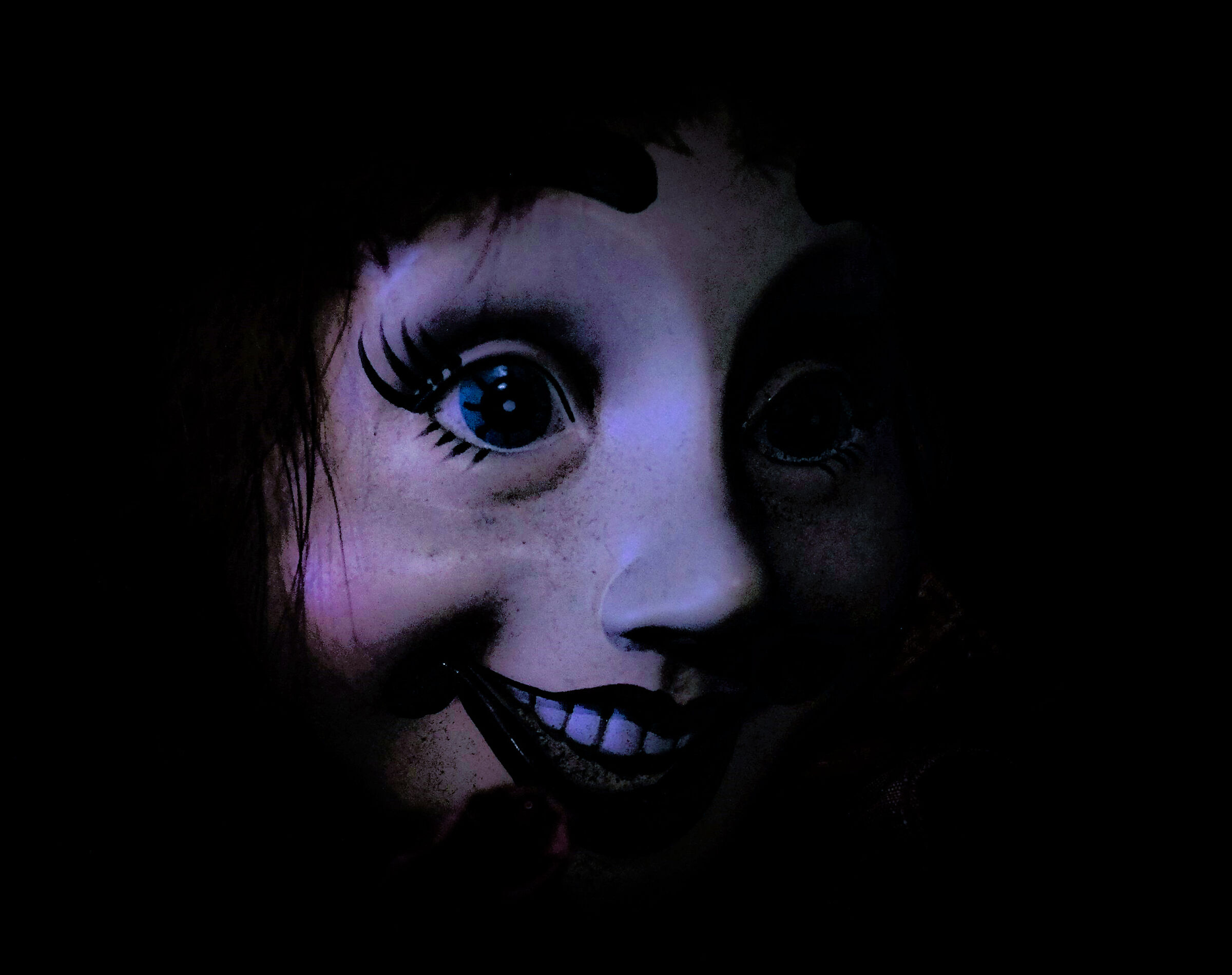 La bottega del terrore..