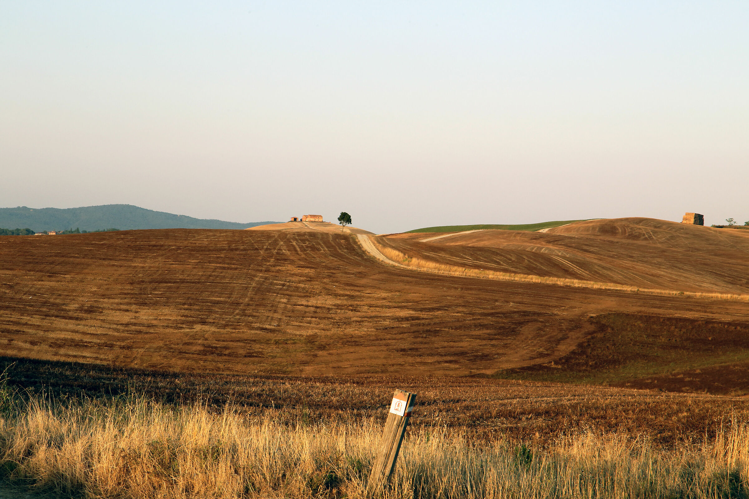 Crete senesi presso Asciano (si)
