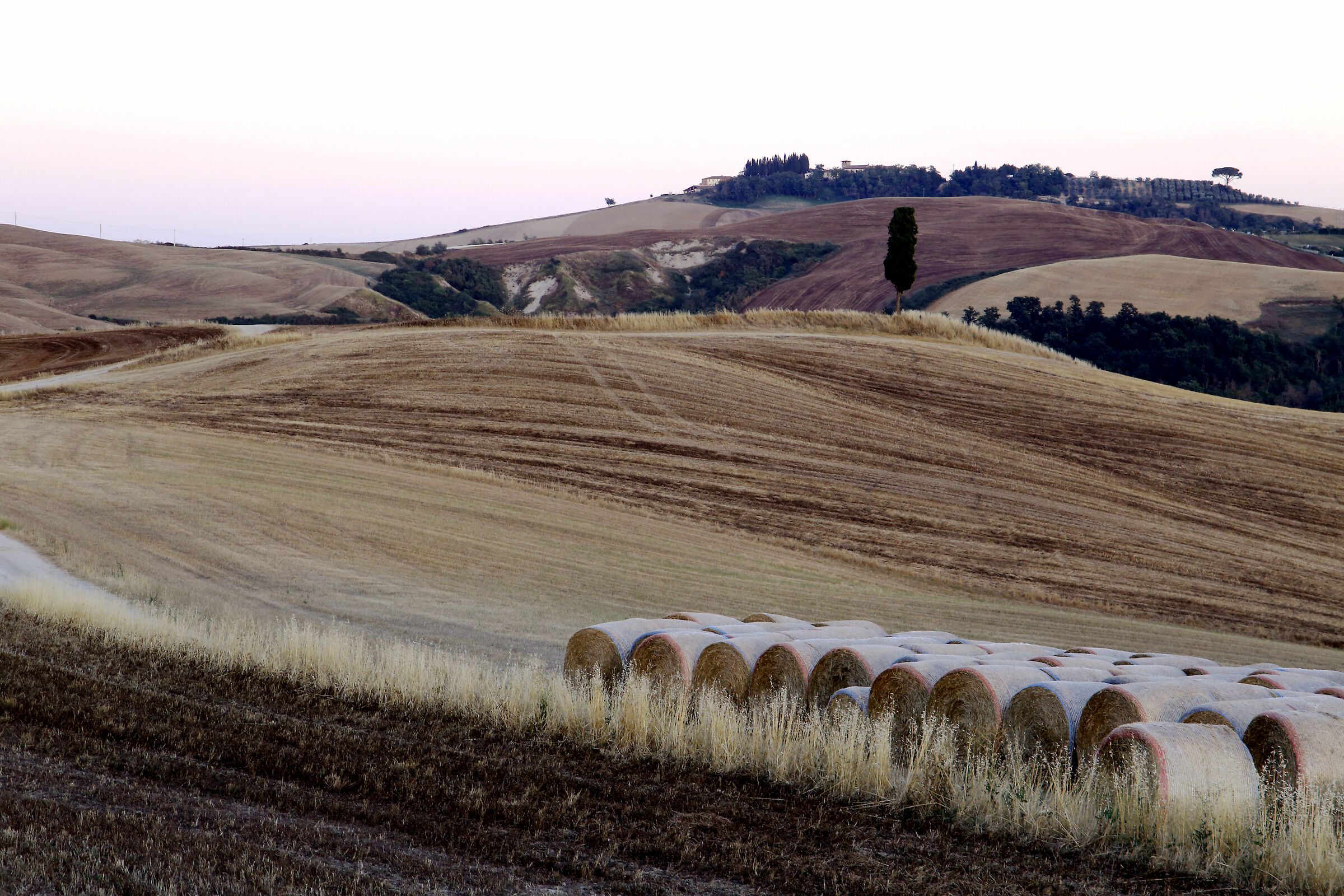 Crete senesi presso Asciano (si)