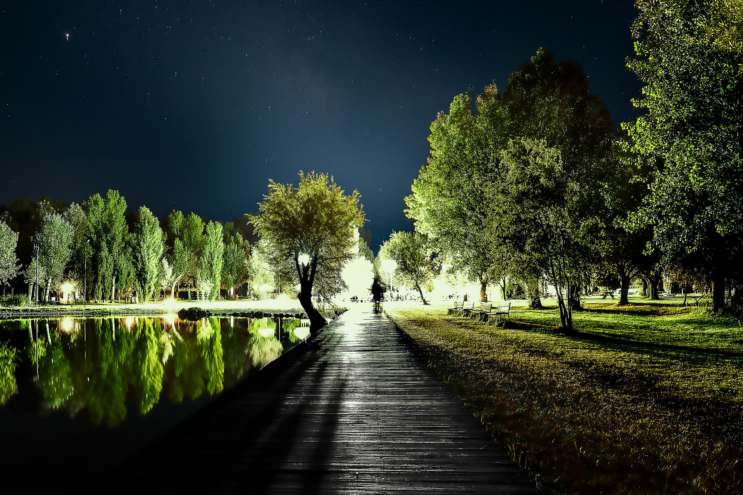 fireflies for lanterns