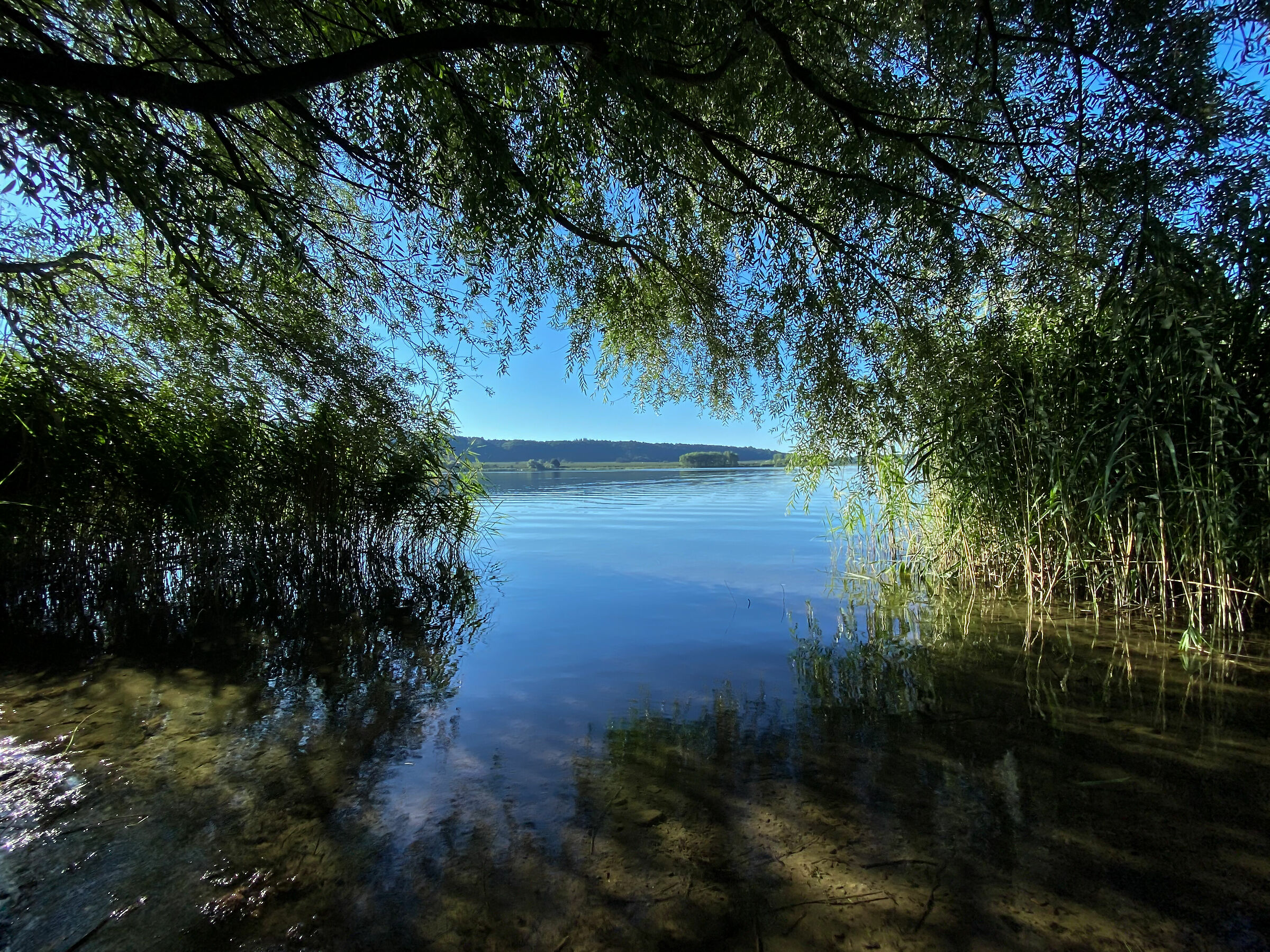 Lago di Vico