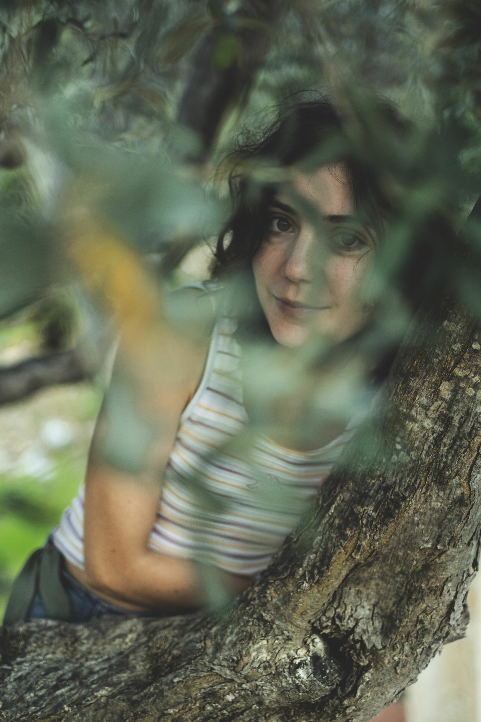 Under the olive trees