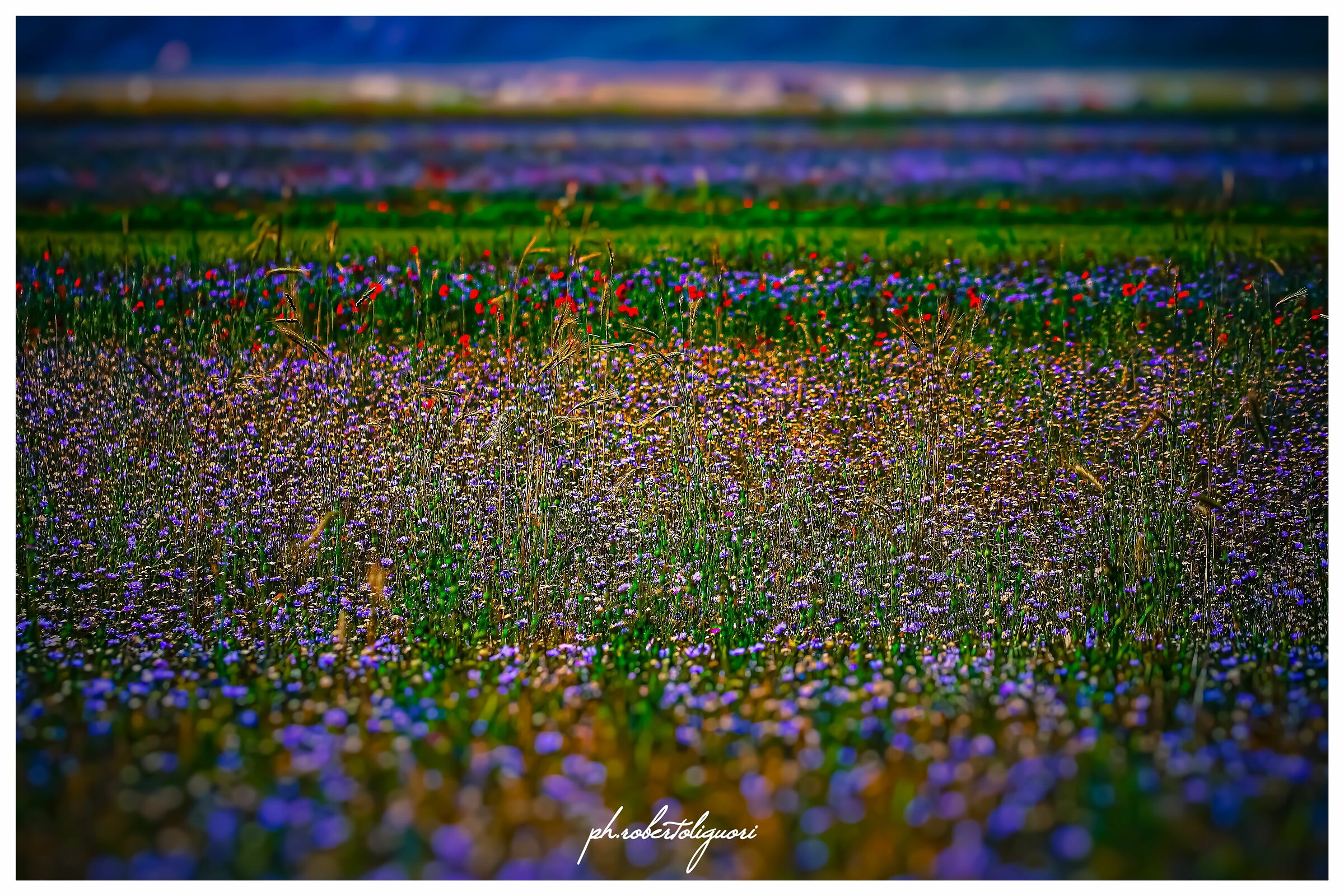 Castelluccio di Norcia