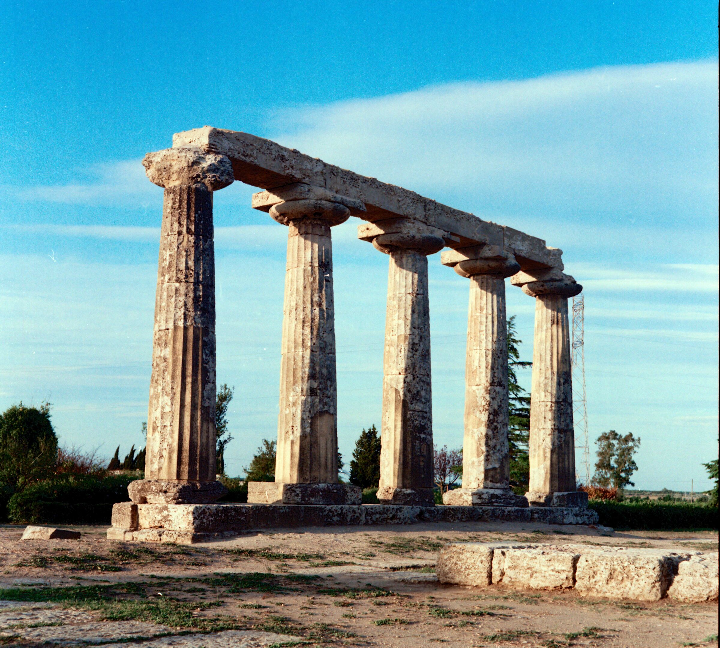 1993 Metaponto mamyia c220