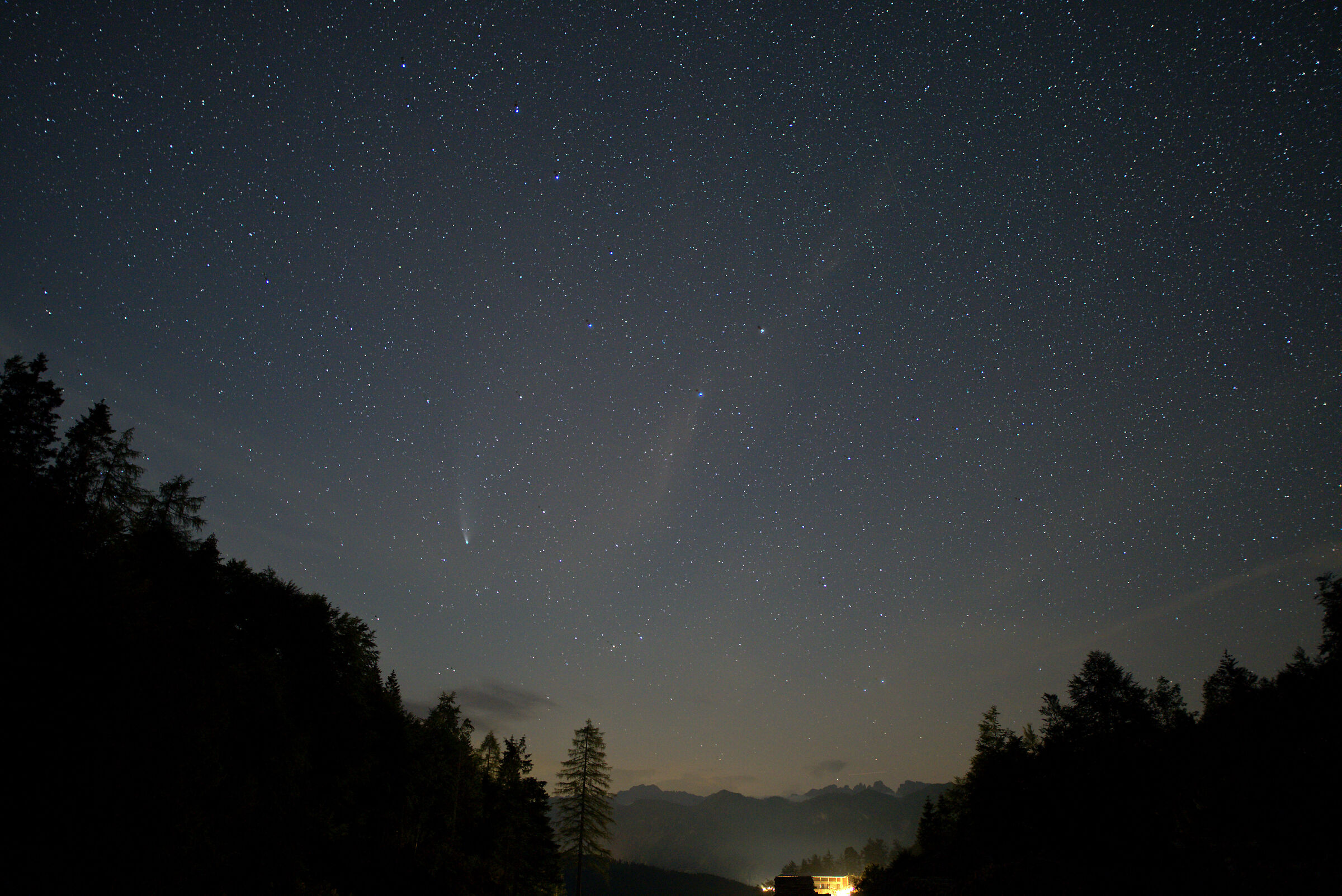 Neowise dal Pura (ud)