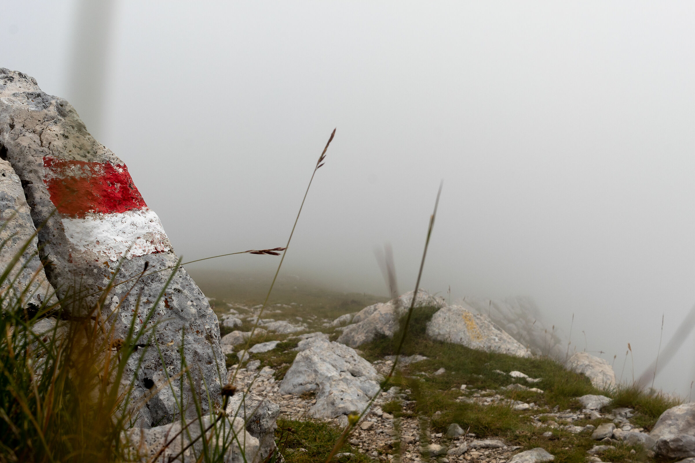 La nebbia su Palazzo Borghese