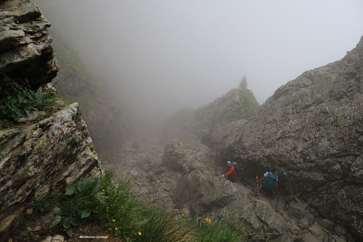 Benigni Shelter in the Fog