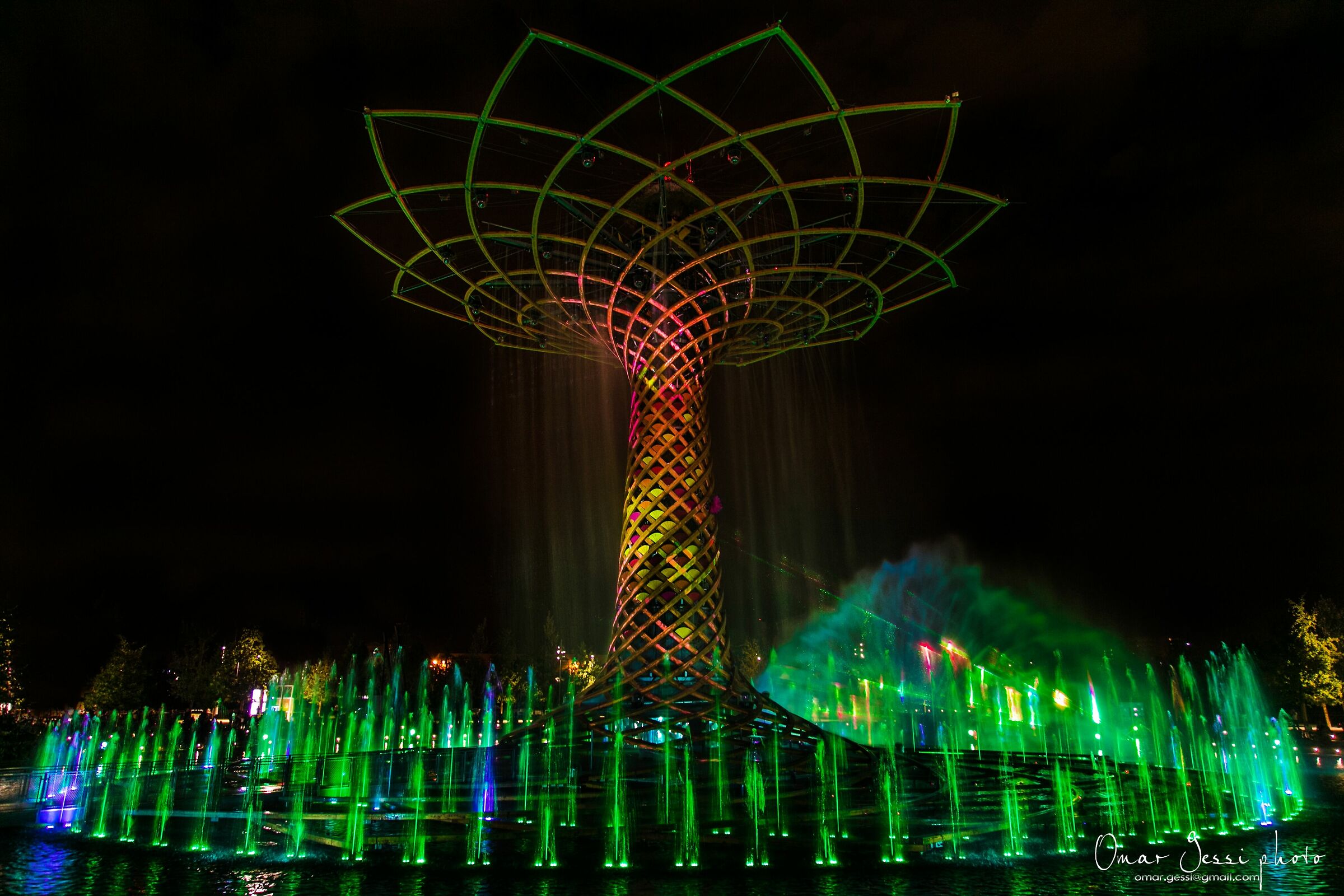 tree of life