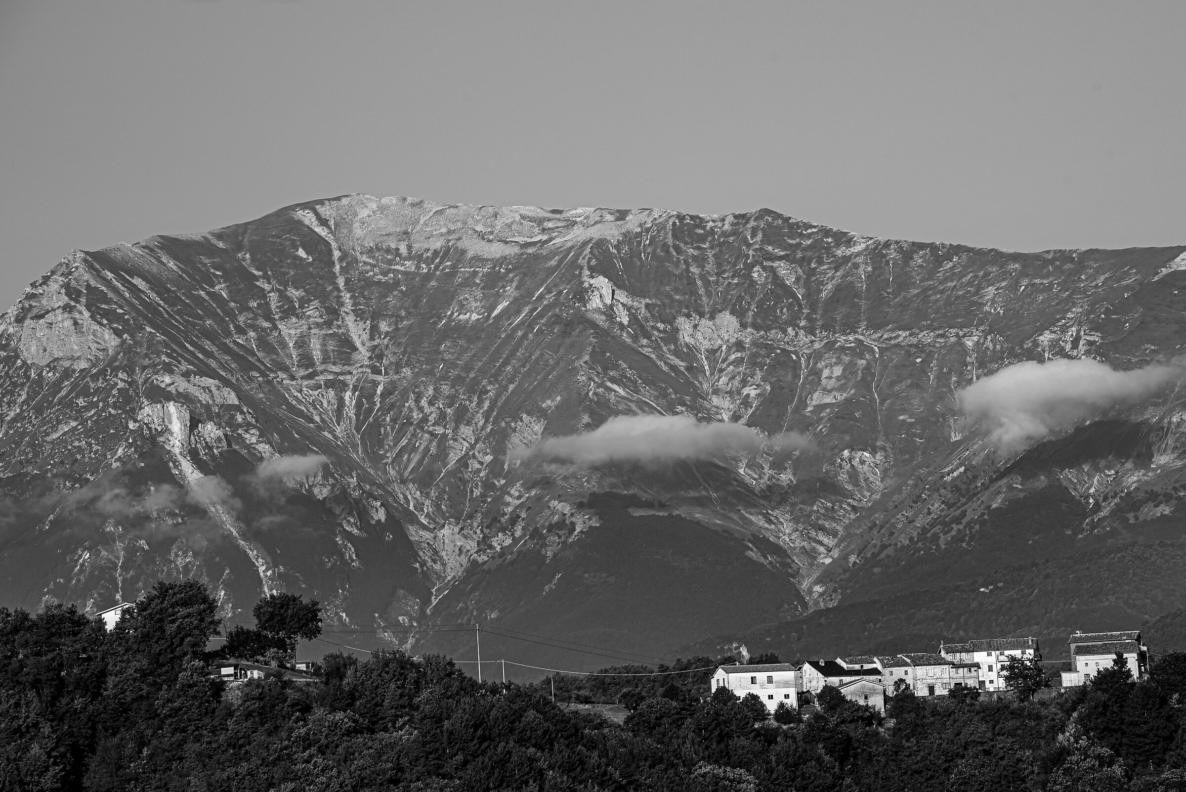 The Scars of the Vector