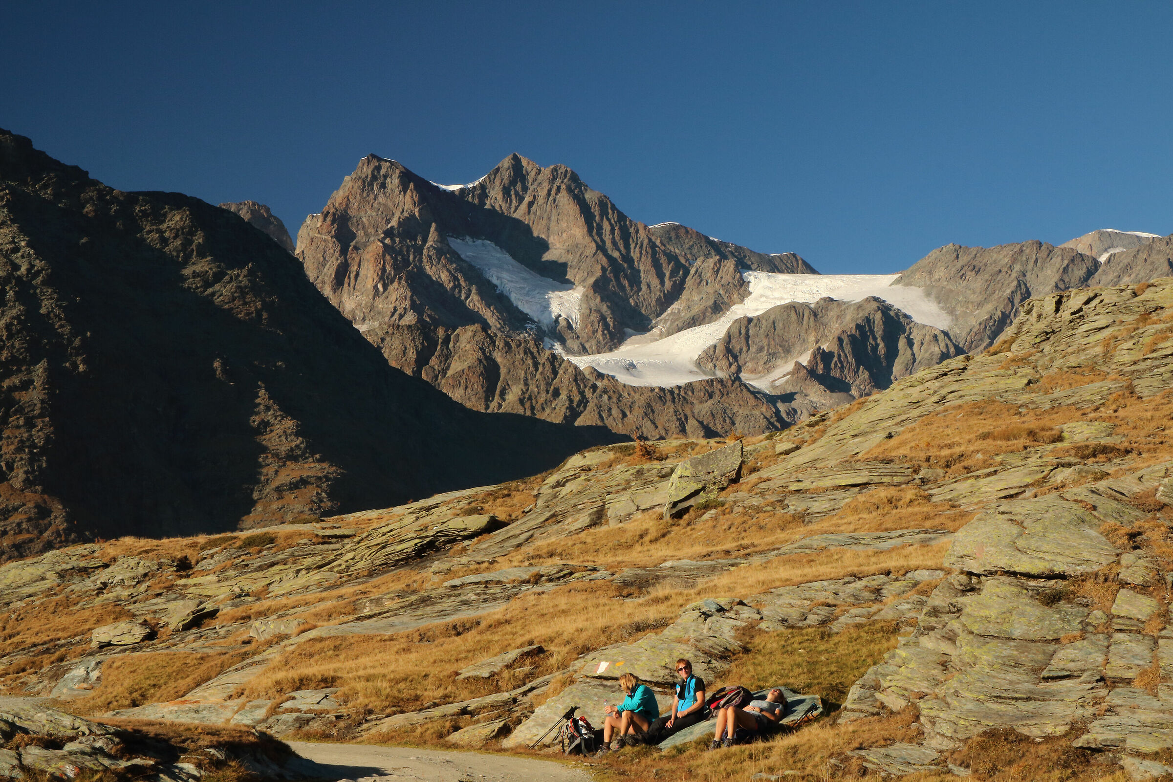 le compagne di "viaggio" a riposo
