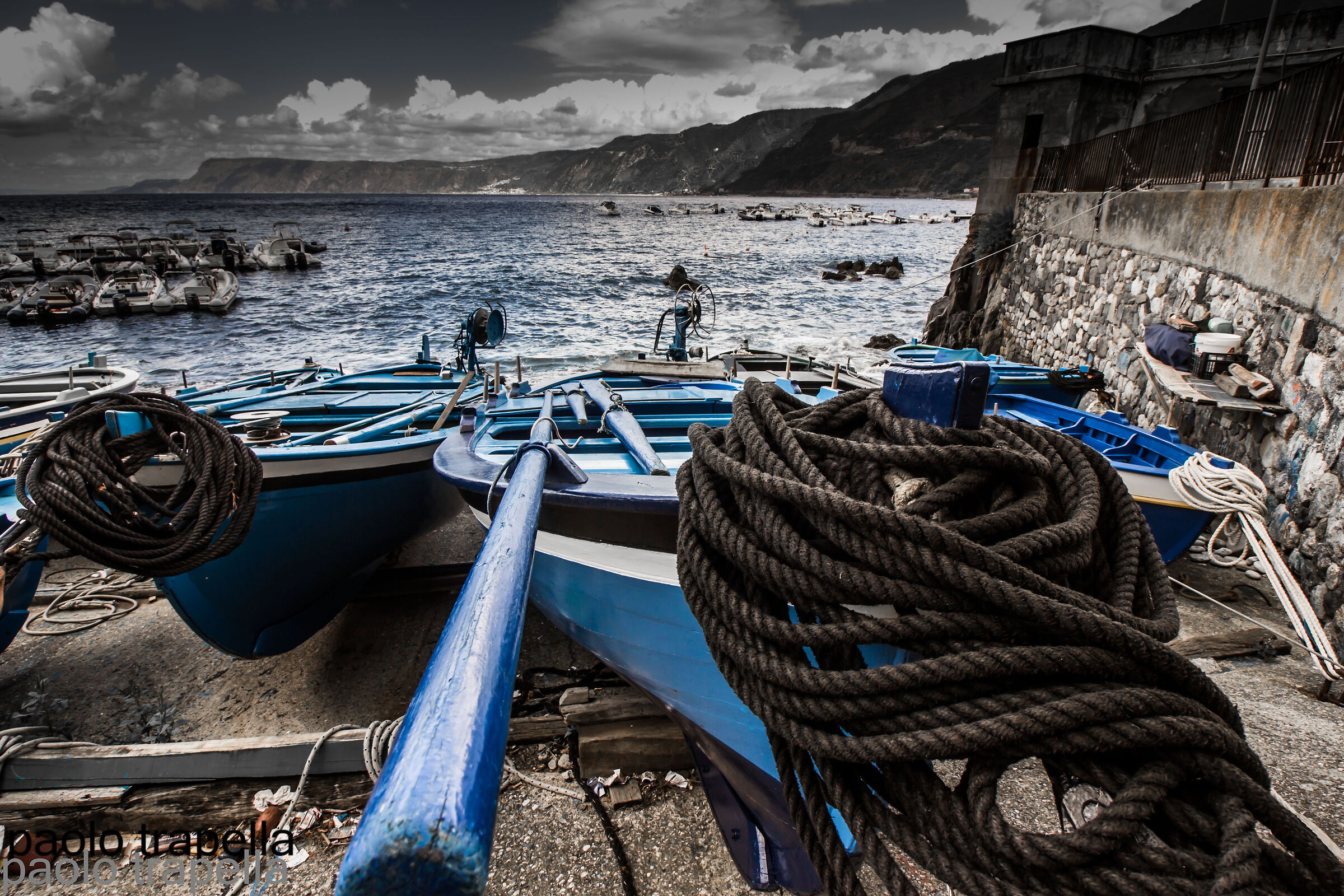 Scilla