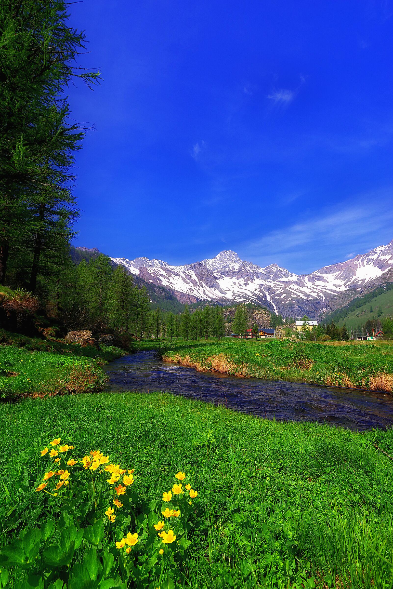 Passeggiando al Pian della Mussa