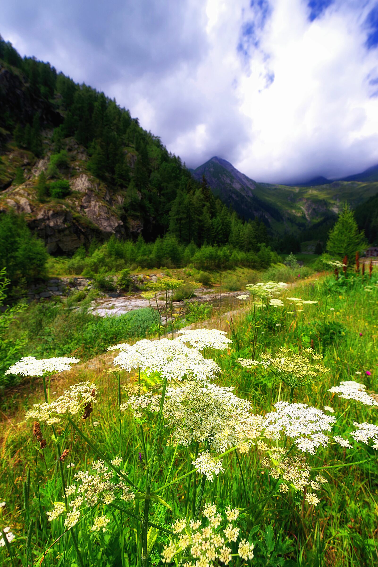 Piamprato: sulle rive del torrente Soana