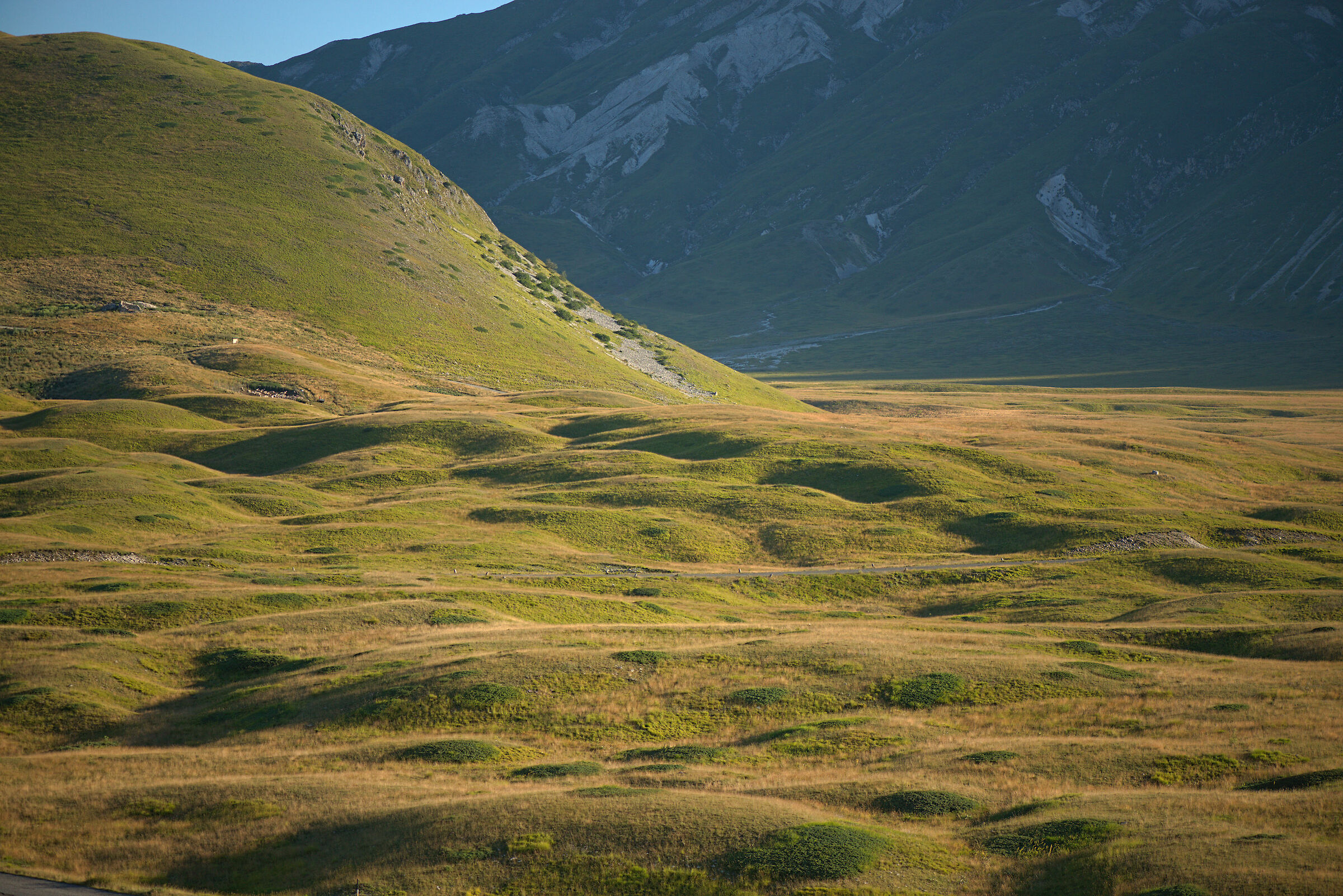 Emperor's Field Plain