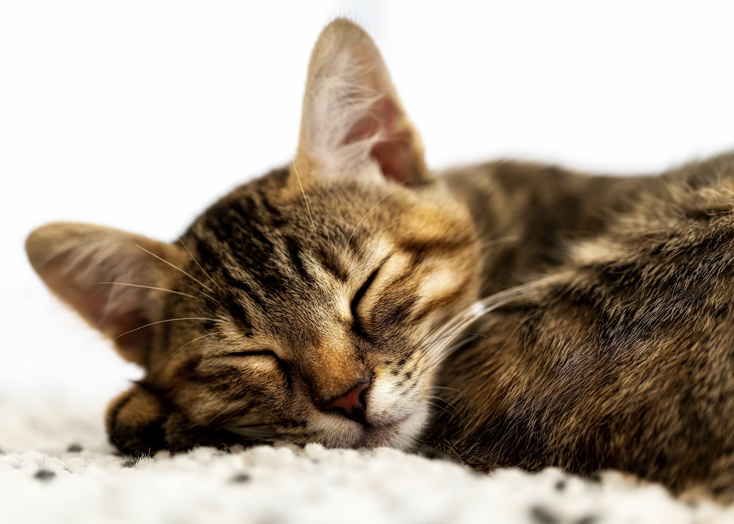 I'm only good when I sleep