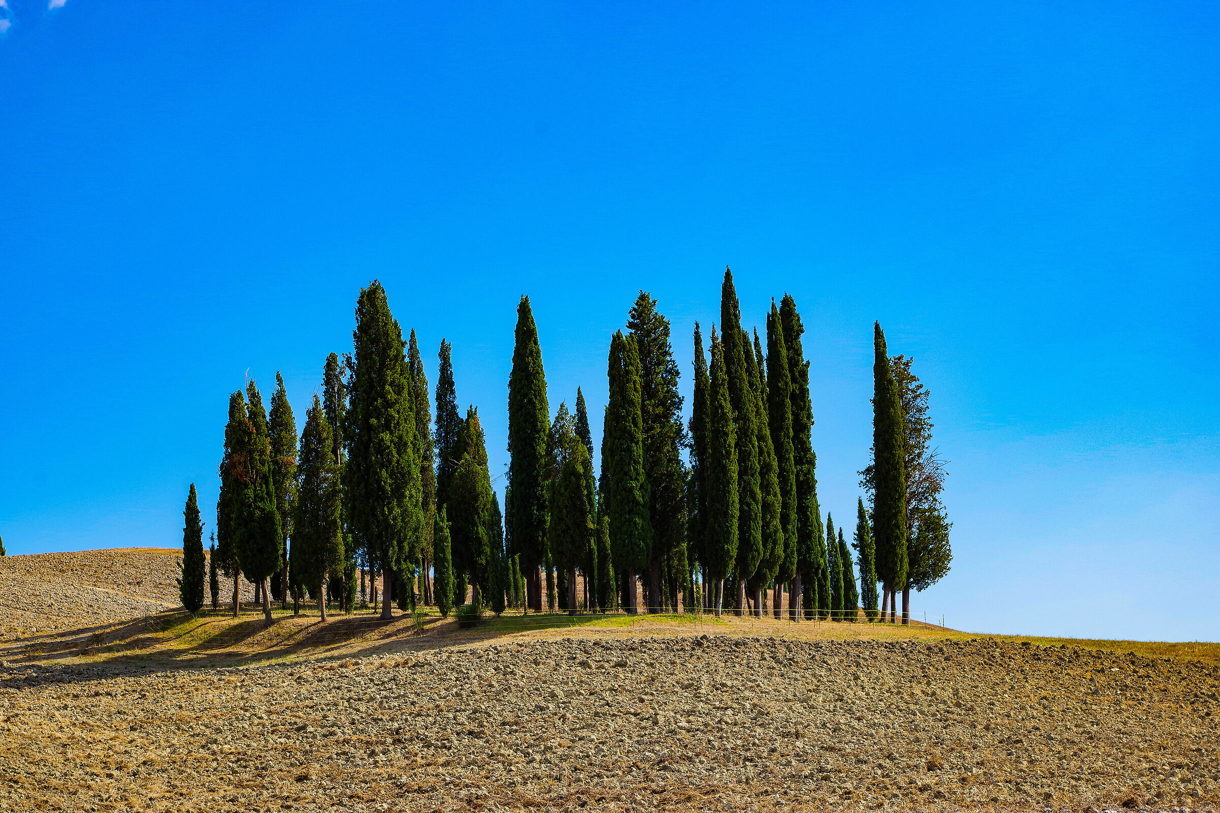 Val D'Orcia