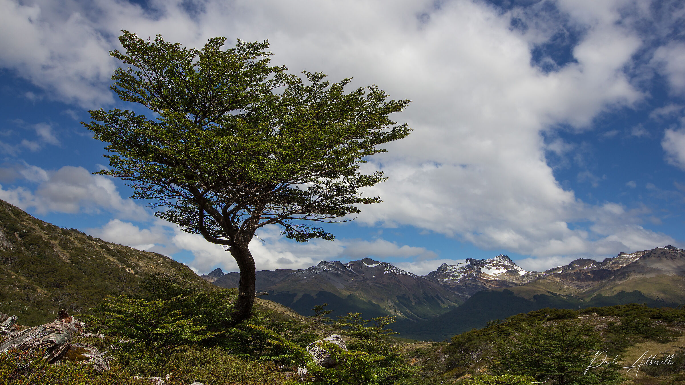 Tierra del Fuego