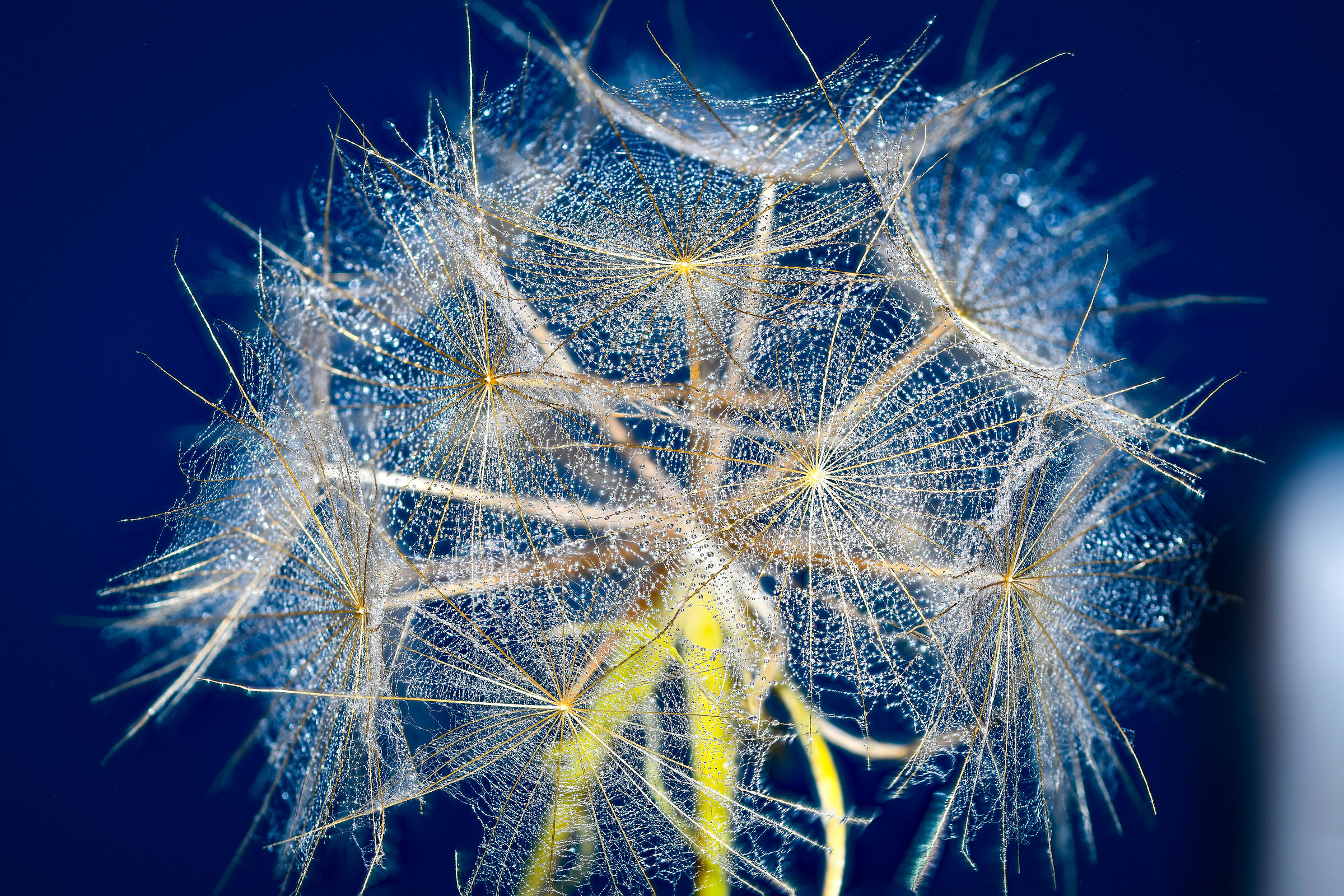 soffione con bollicine....