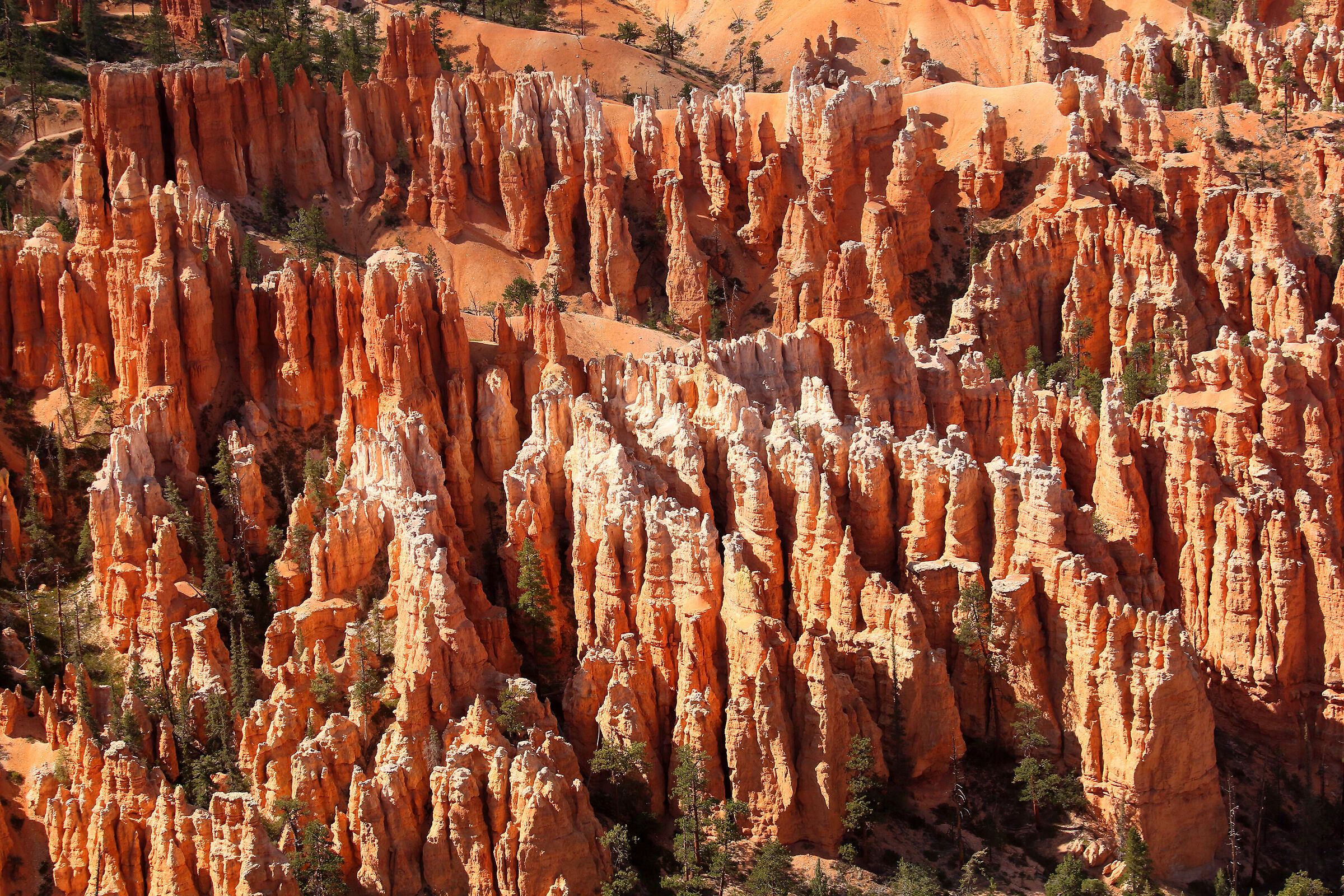 i pinnacoli del Bryce canyon