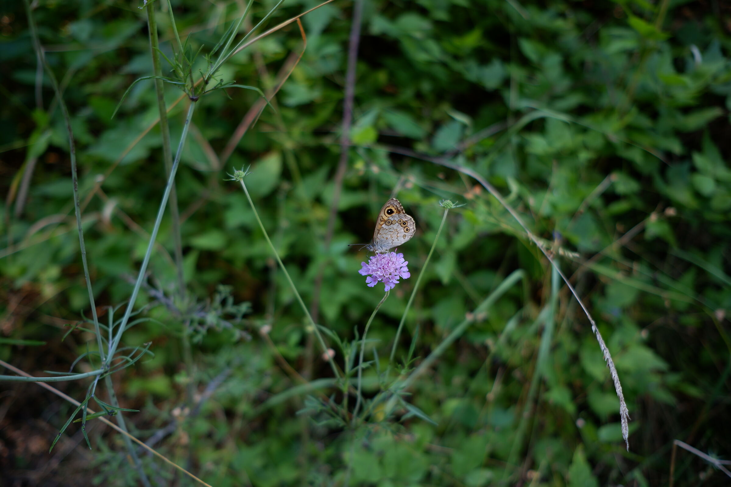 Test Fuji X-T200 in Umbria