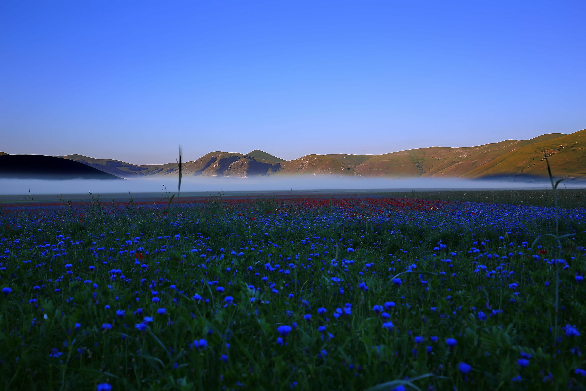 alba sul pian grande