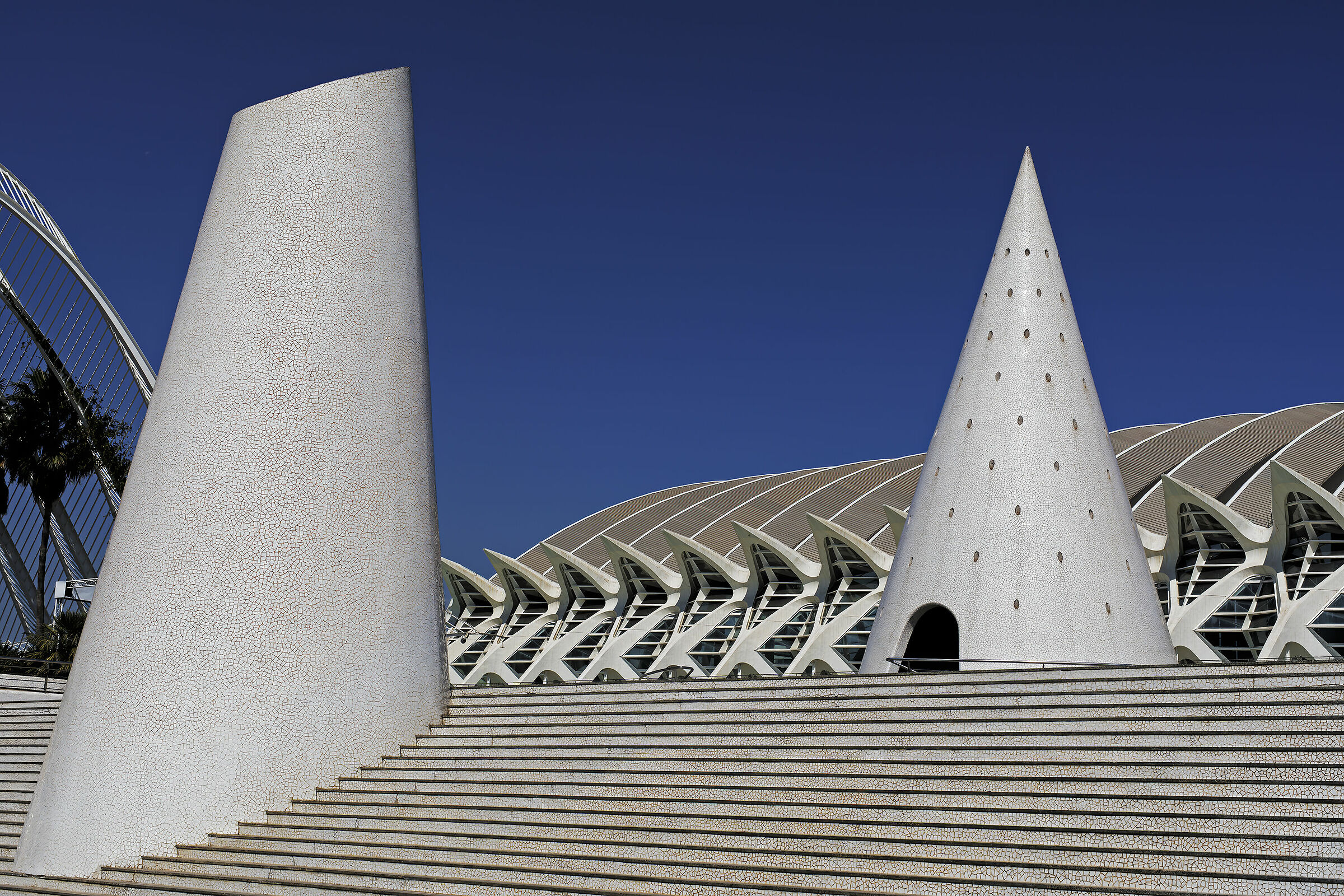 Ciutat de les Arts i les Ciències arch. S. Calatrava