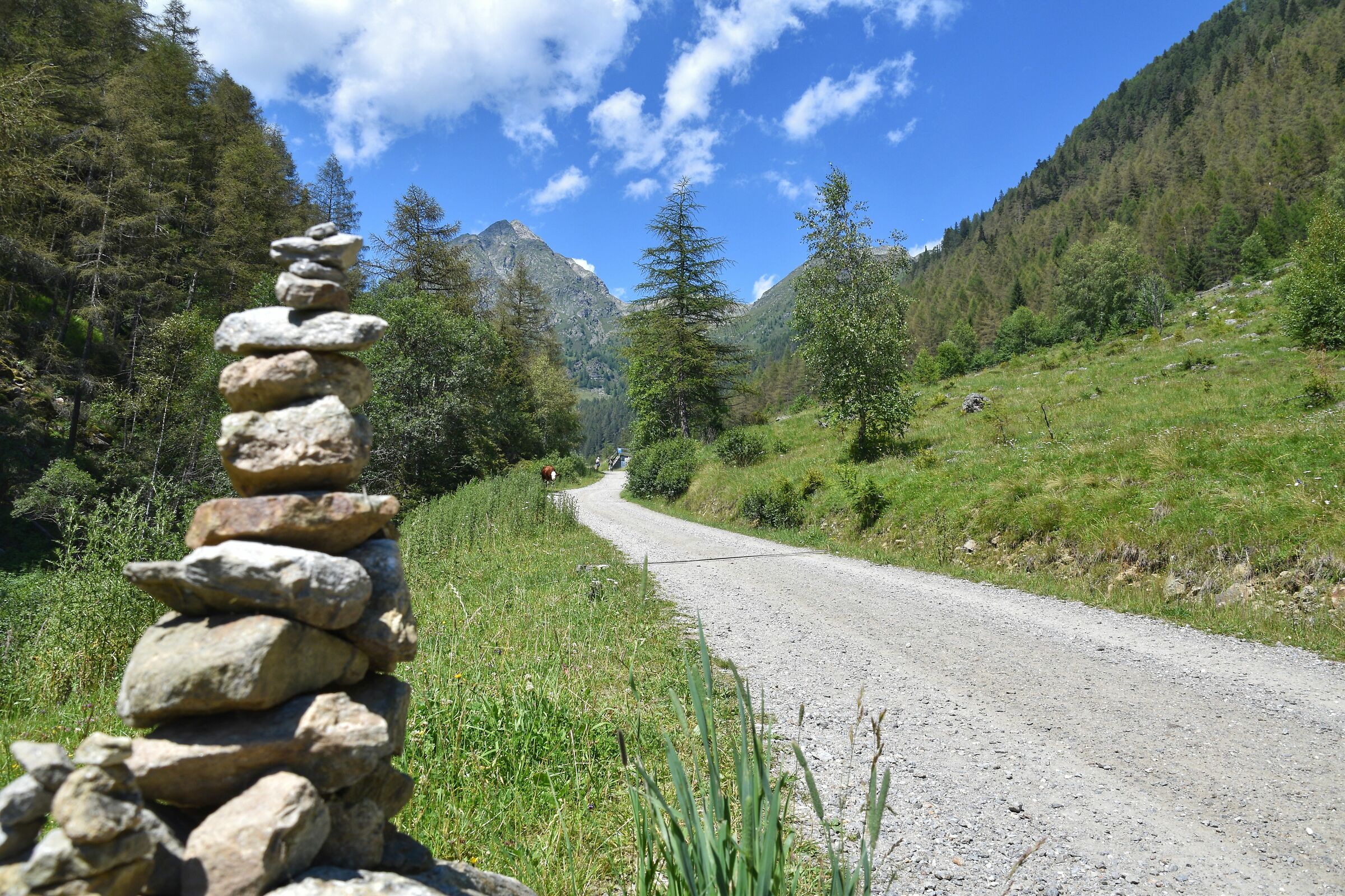 Alla ricerca del rifugio perduto