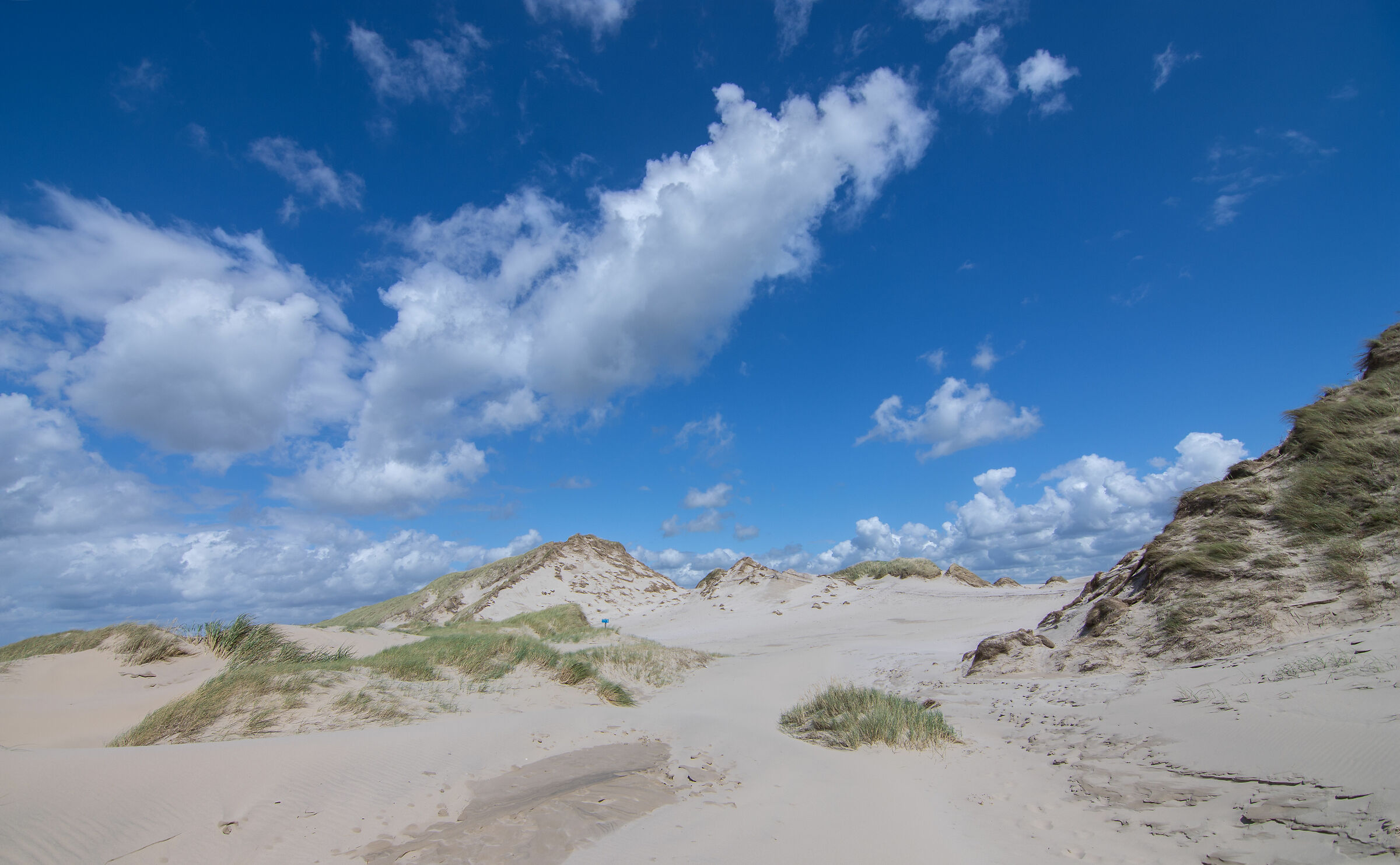 Lungo la costa olandese nei pressi di Egmond aan