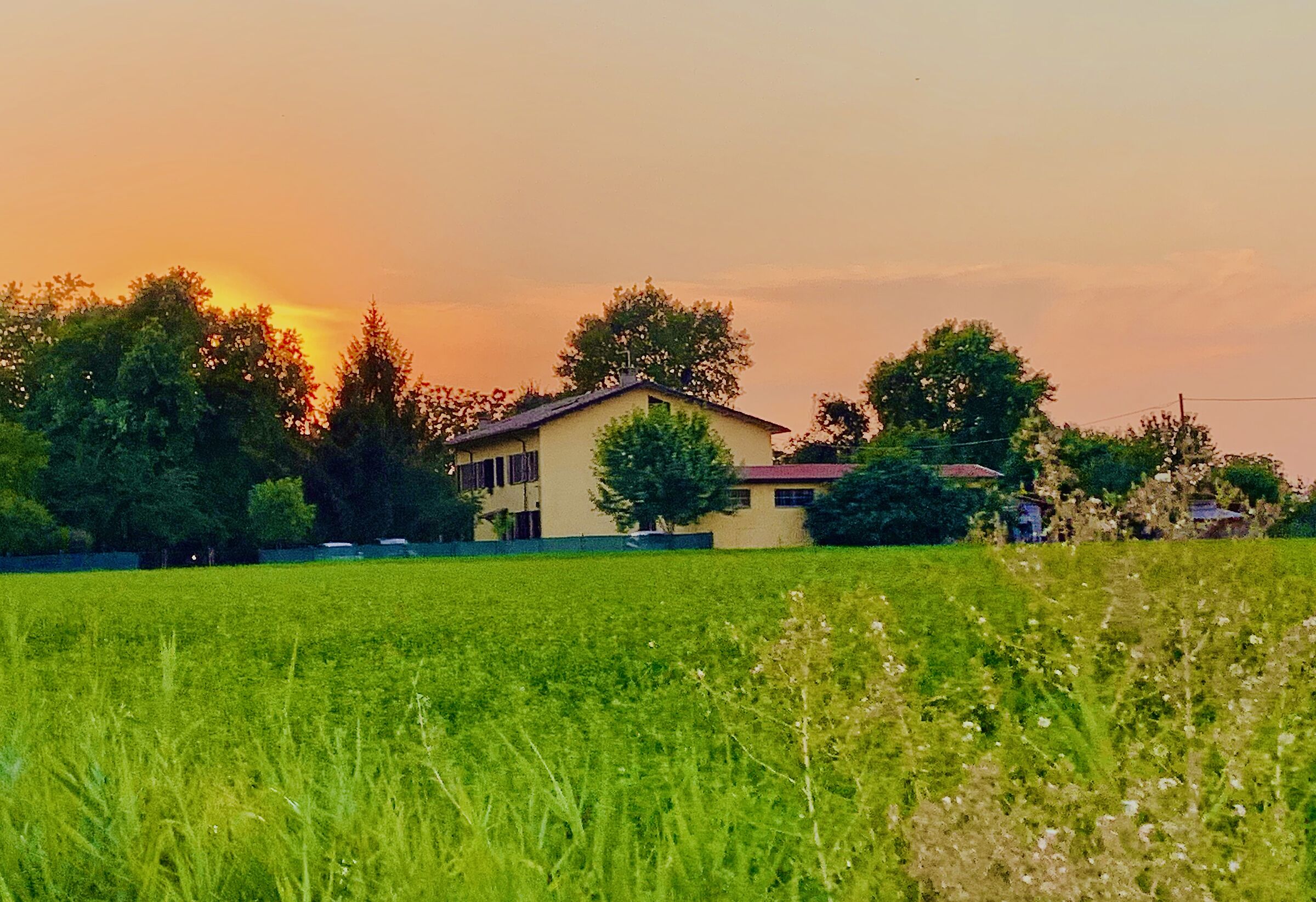 Cottage