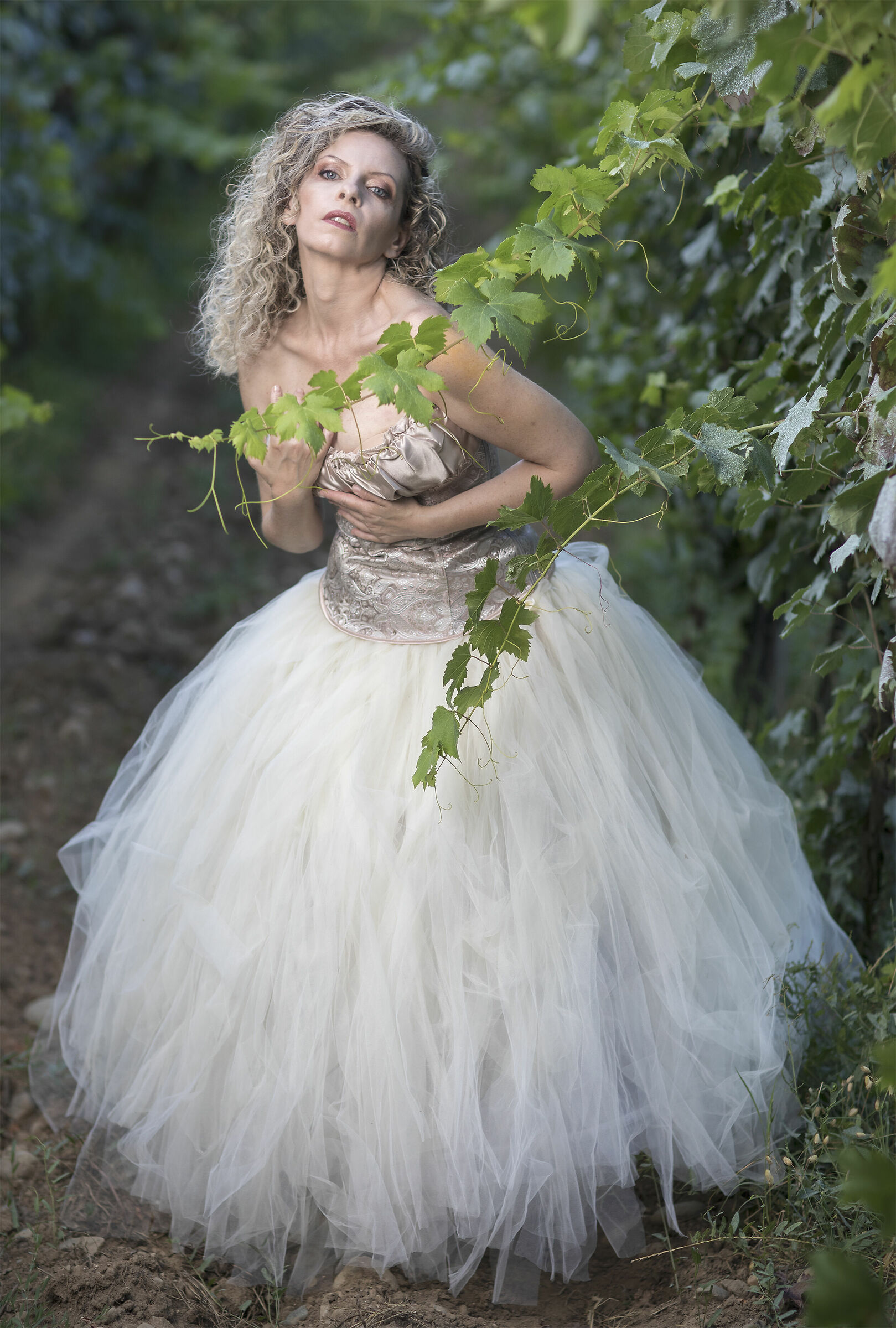 In attesa della vendemmia