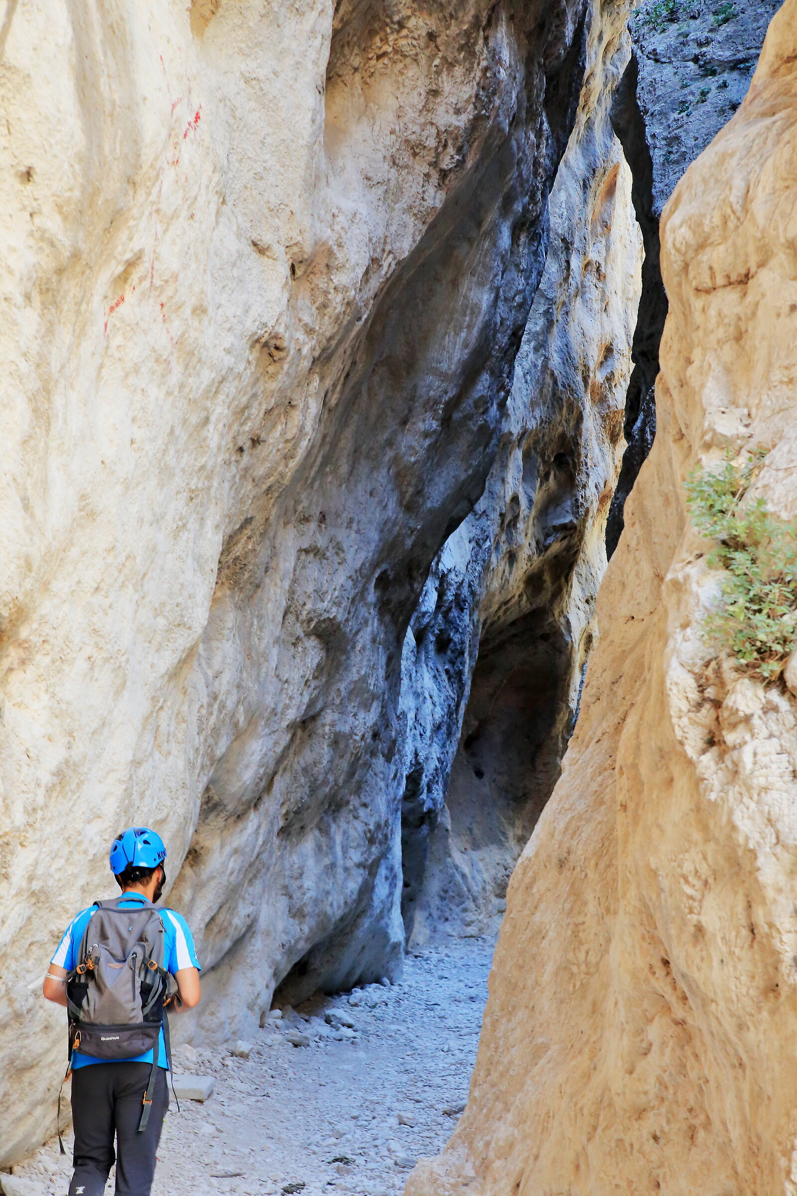 le aspre vie della fede